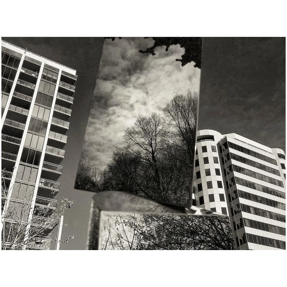 Black and white photo collage with modern buildings, bare trees, and clouds.