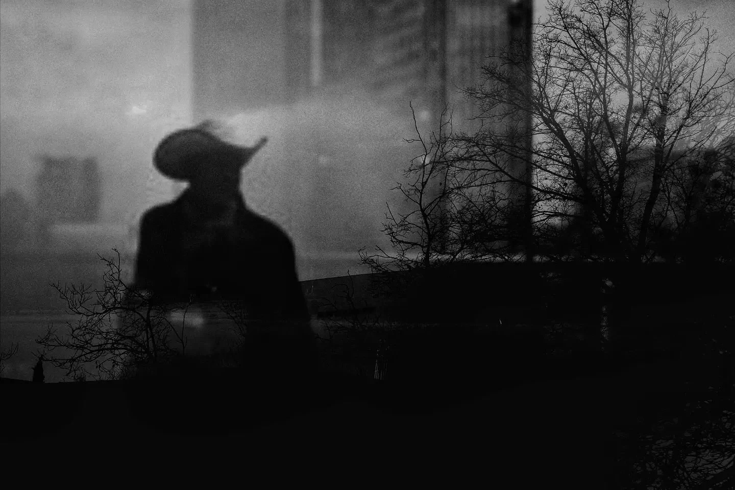 Silhouette of a person wearing a hat against a dark, moody background with bare trees.