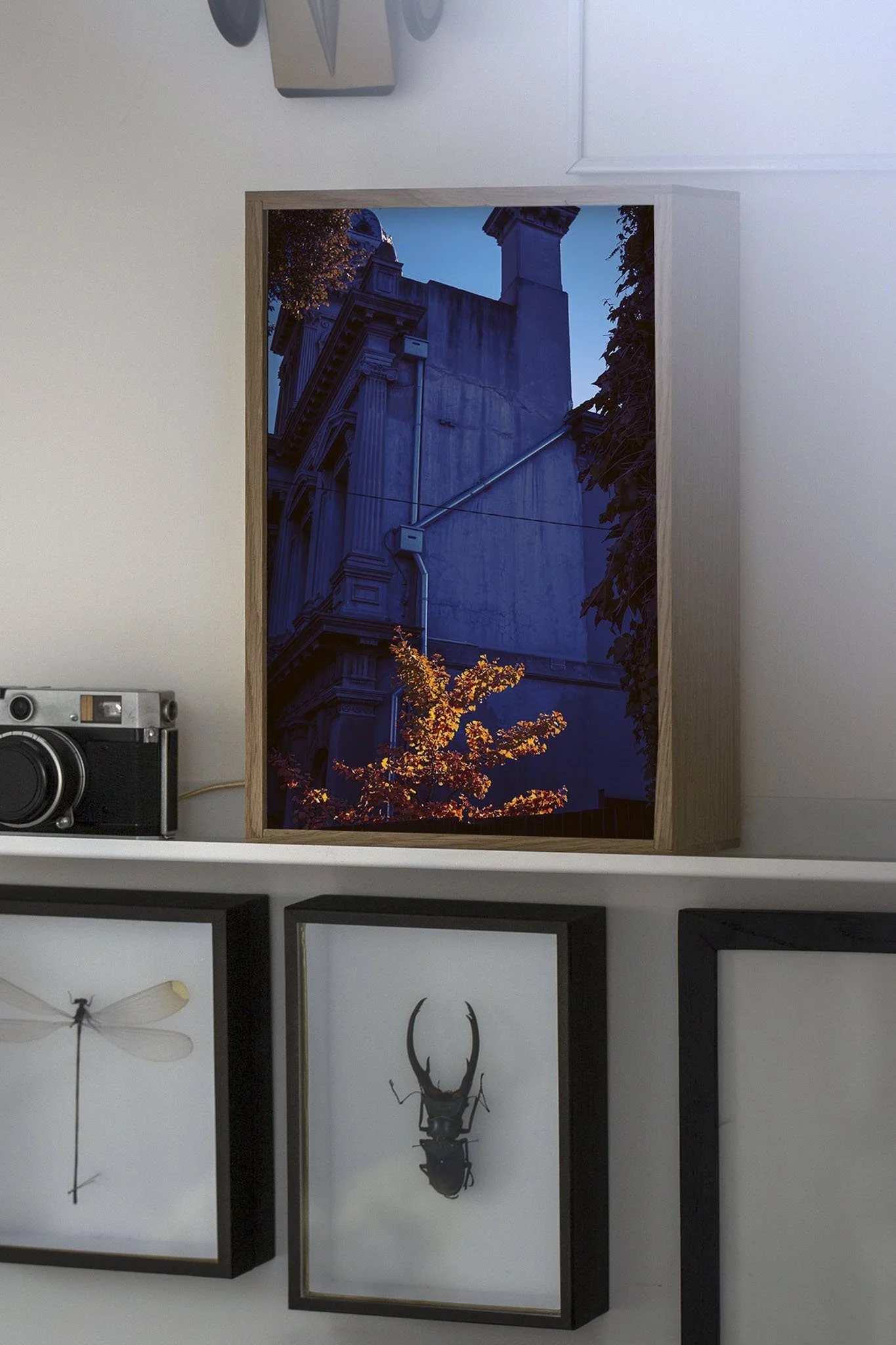 AIATIS Summit-164.jpg