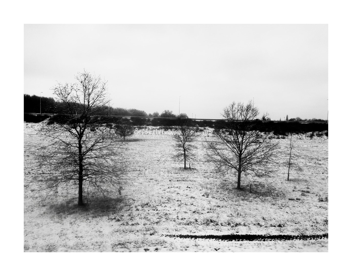 Black and white landscape with sparse trees on a snowy field, overcast sky.