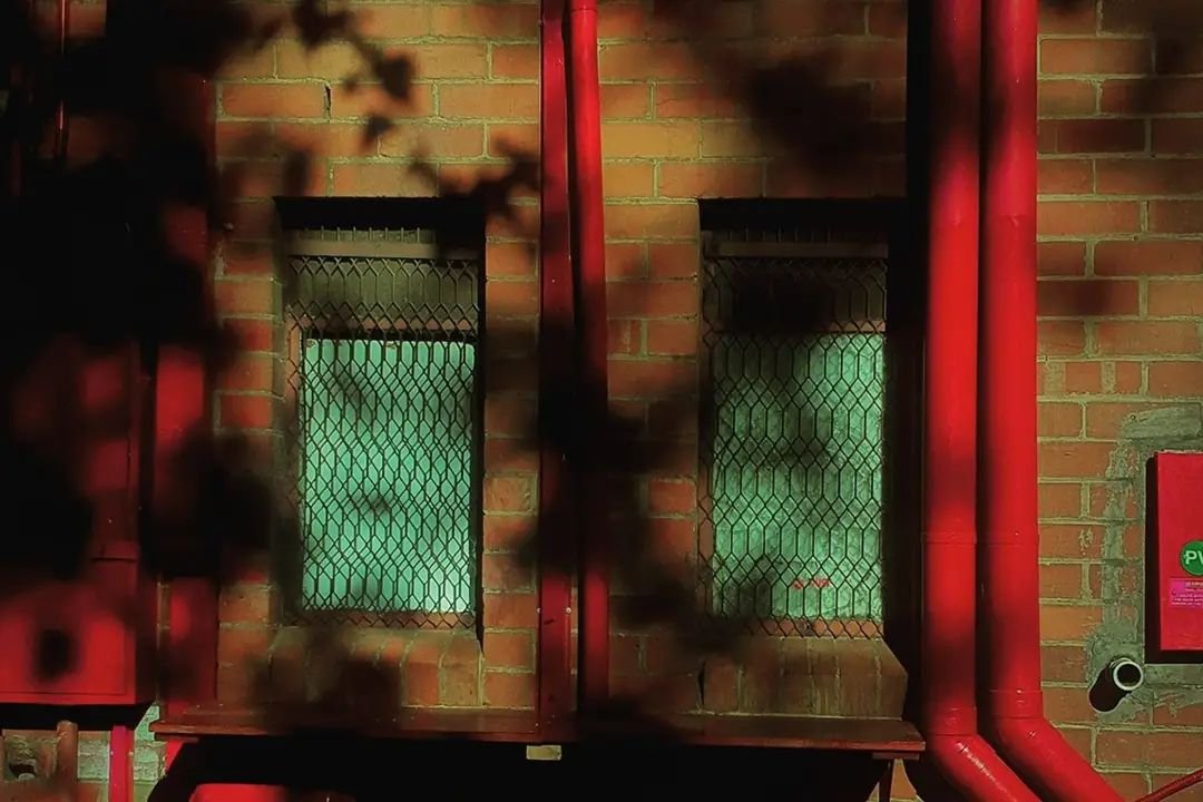 2674767592128210132_3981973293.jpg