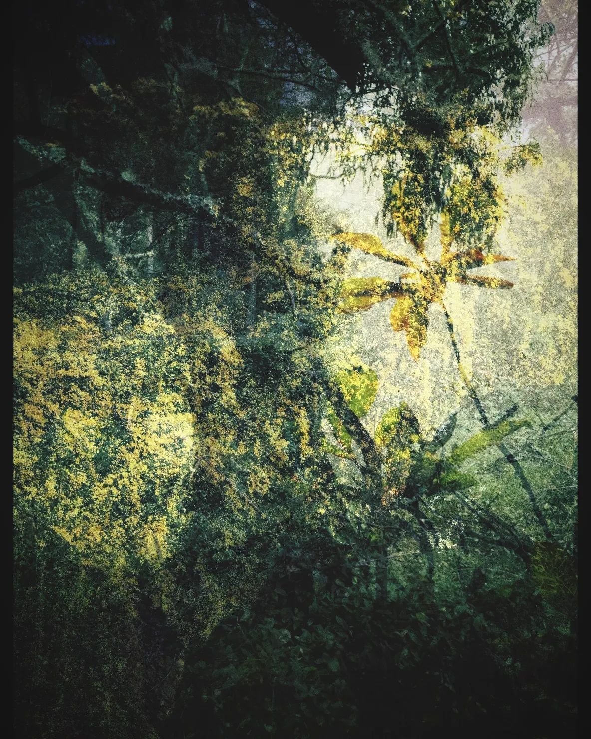Abstract image of a dense forest with various shades of green and yellow leaves, branches, and light filtering through the trees, creating a textured pattern.