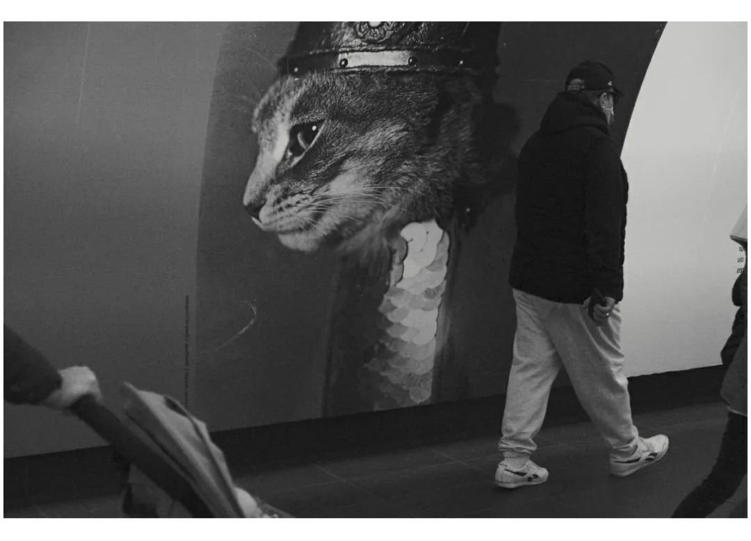 Black and white image of a large poster featuring a cat wearing what looks like armor, in a public space with people walking by.