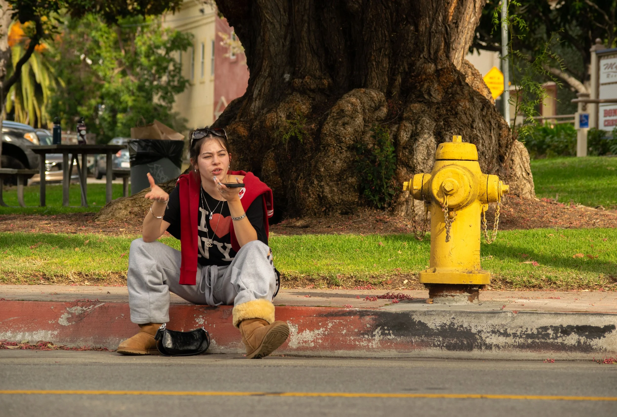 Paparazzi stage 1-5.jpg