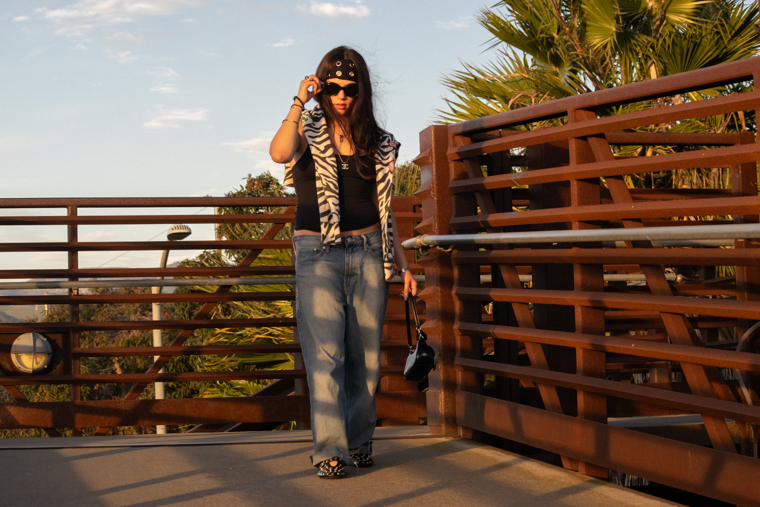 paparazzi stage 2-3.jpg