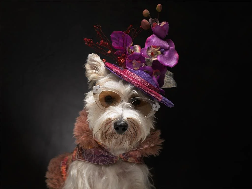 Gioia Sofia con traje y sobrero de Alta costura en una toma fotografica especial para la revista XODOG