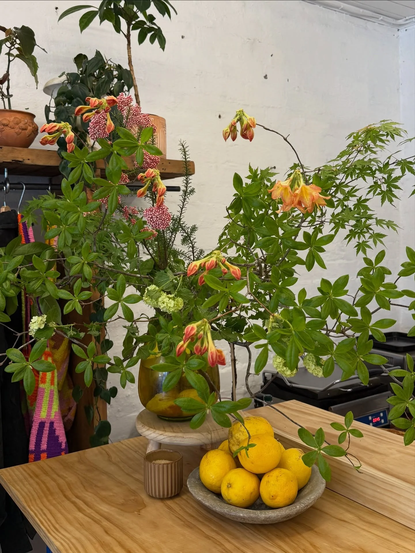 A beautiful new station has just hit the cafe 🍽️ 

Garden picked blooms are abundant along with some lemons, 🍋 a warm breeze is blowing and the tunes are vibin 🌷

We&rsquo;re so grateful to all that have shown their support for this business and w