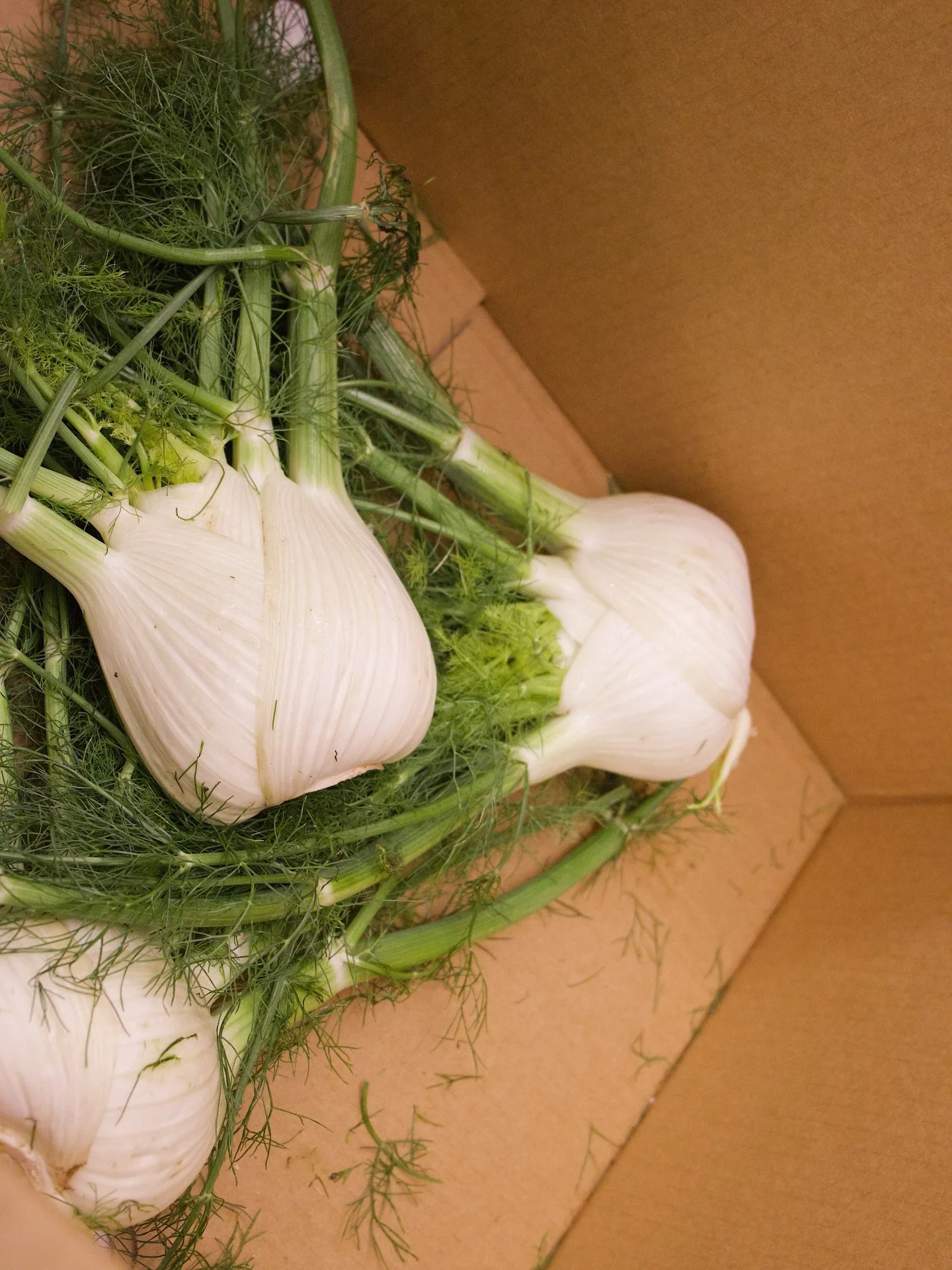 Fresh, whole, and delicious 🌱
At Butter, we keep food simple, seasonal, and whole.
🌱 Just as it should be.