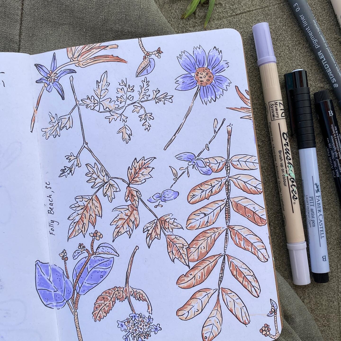 Got in a few rare, quiet, toddler-free moments on vacation to sketch some local plants and weeds 🌿
.
.
.
#floral #pattern #drawing #textiles #illustration