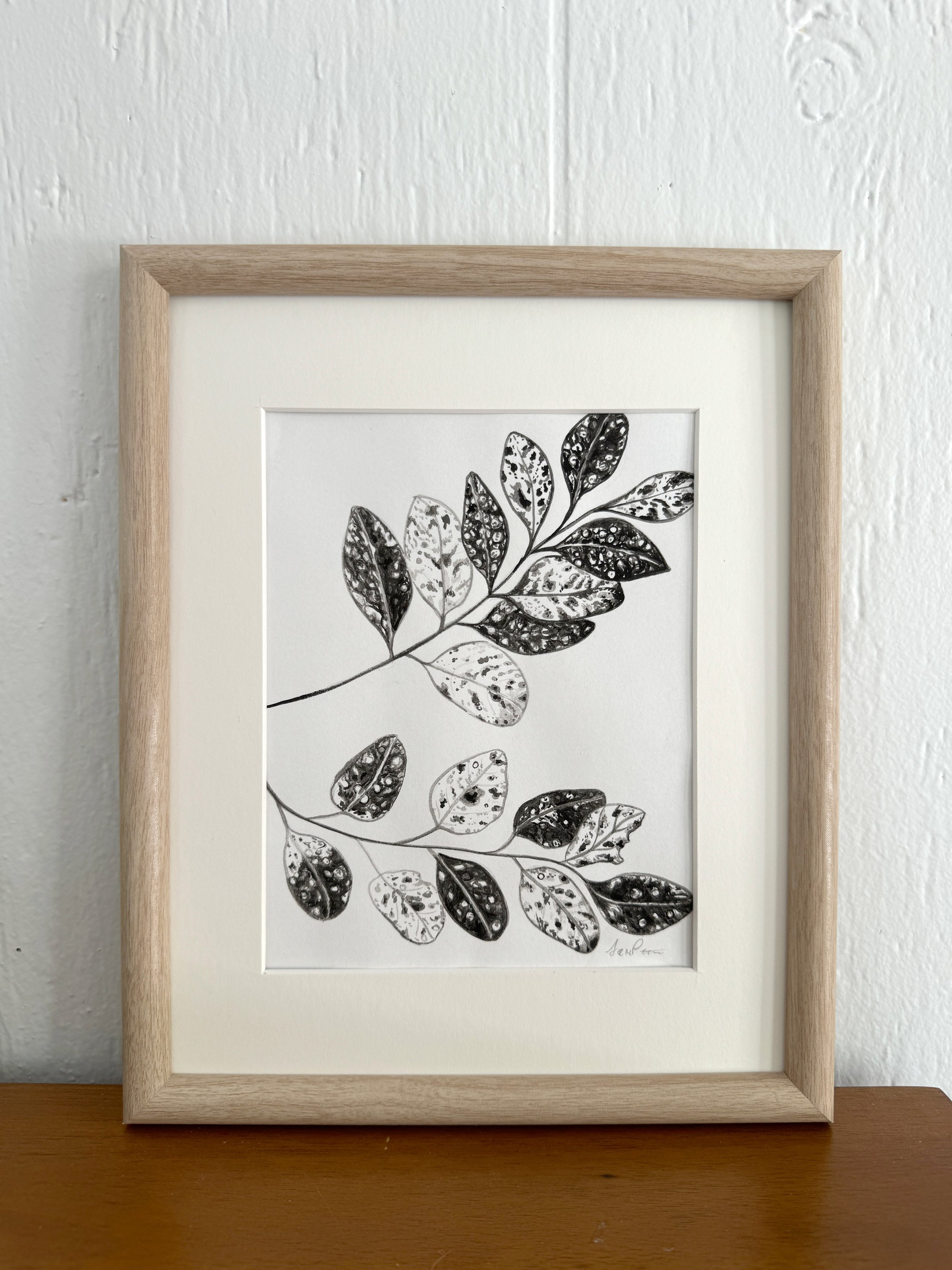 Speckled Plant