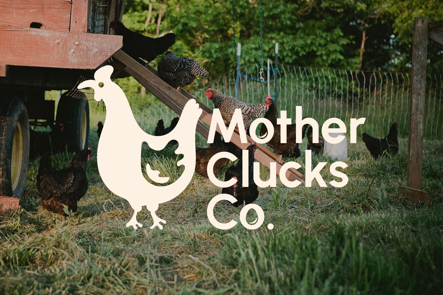 Mother Clucks Portfolio Images (1).jpg