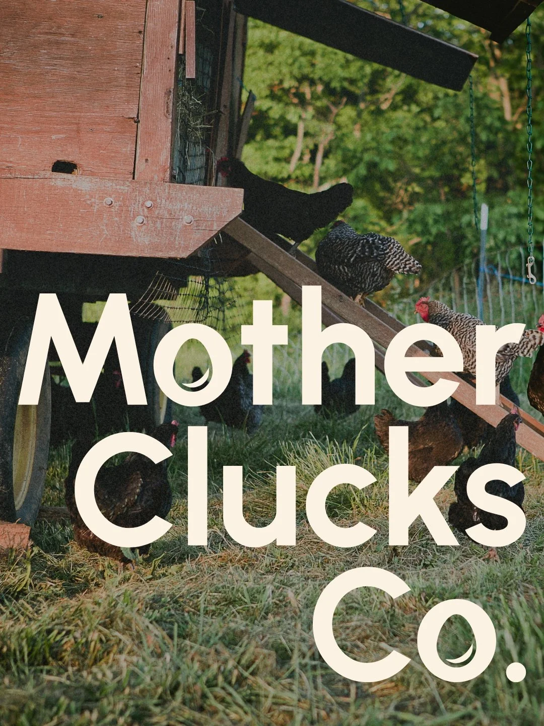 Branding for Mother Clucks Co.