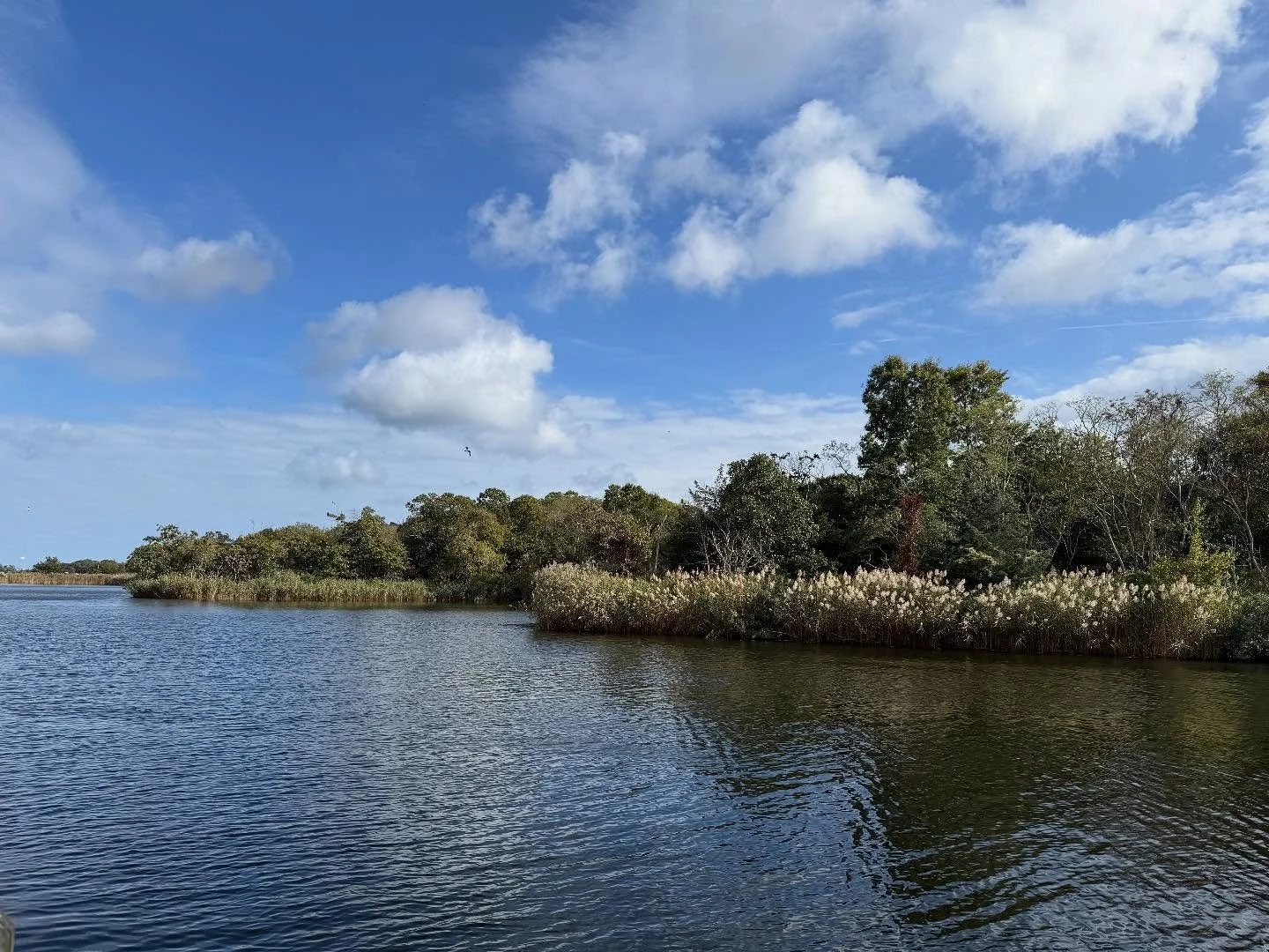 &ldquo;Rivers know this: there is no hurry. We shall get there someday.&rdquo;

-A. A. Milne
