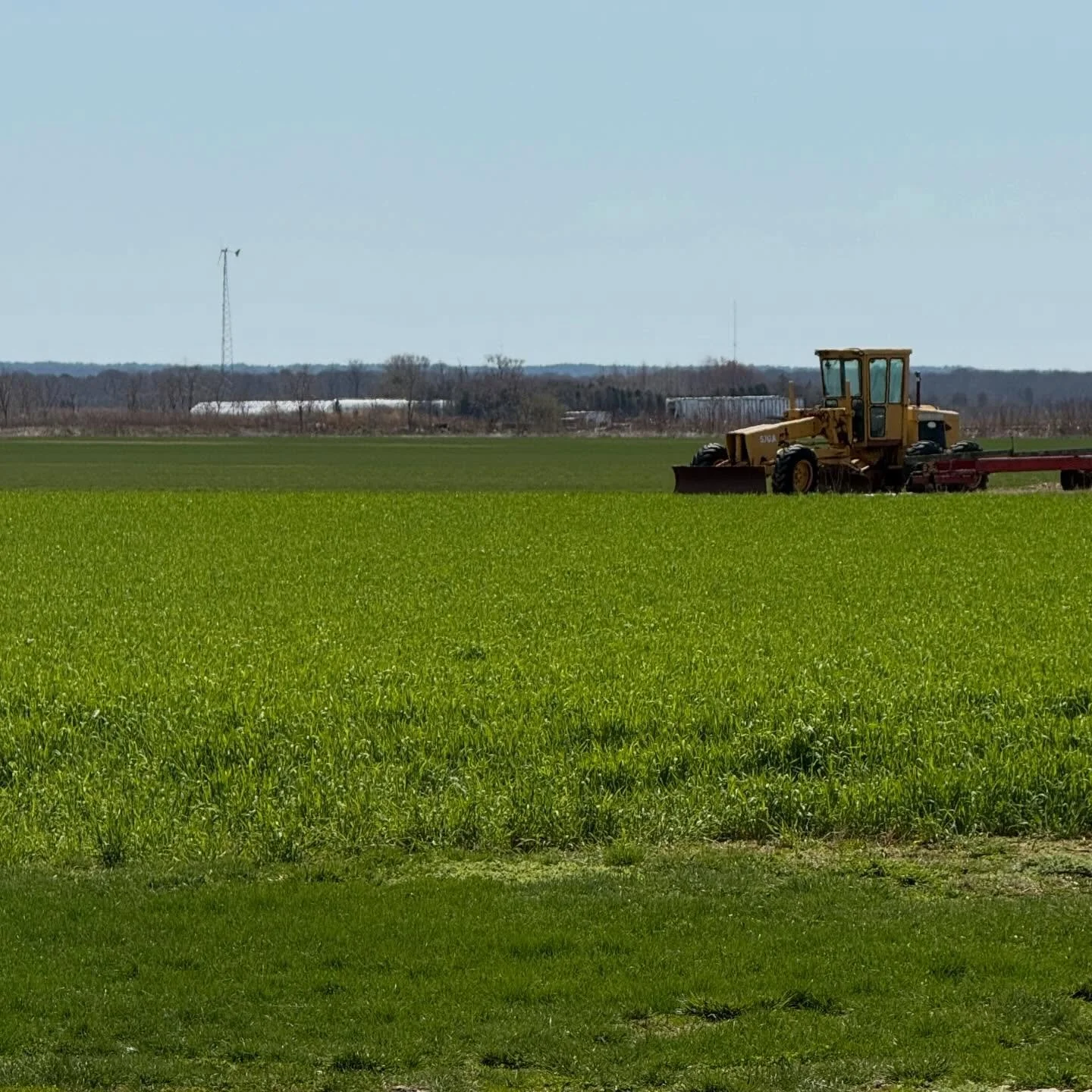 Spent some time out to the North Fork of Long Island last week, because I needed a change of scenery&hellip;and maybe a reminder that life exists outside of my phone and to-do list. 

There&rsquo;s something about being in nature and around animals. 