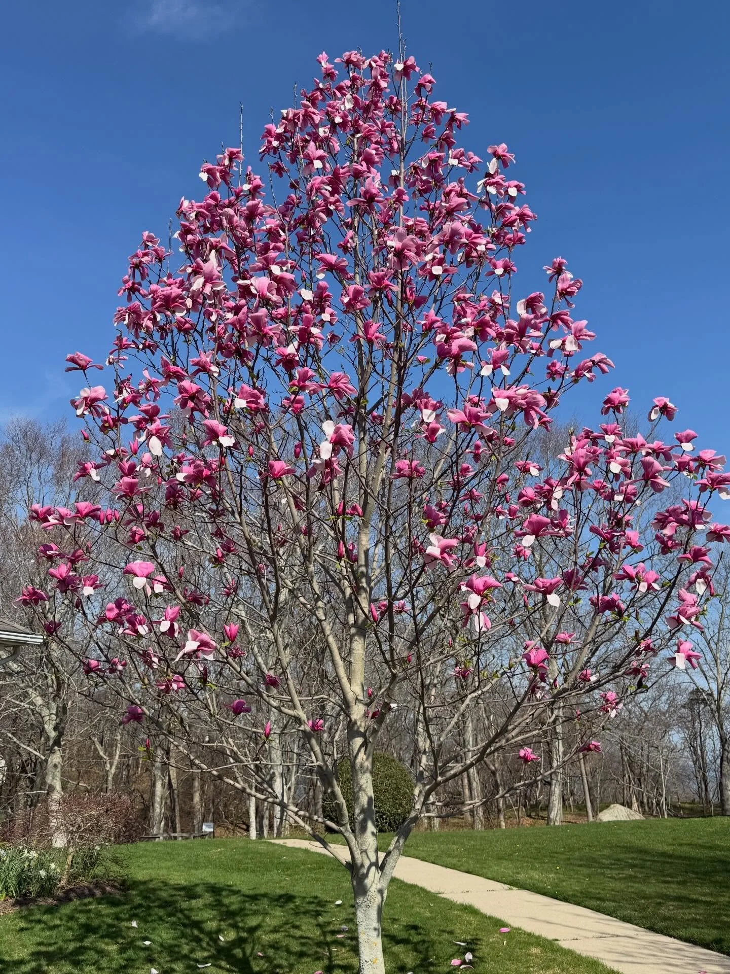 &ldquo;Time spent amongst trees is never wasted time.&rdquo; 

-Katrina Mayer

Happy Earth Day! 🌎