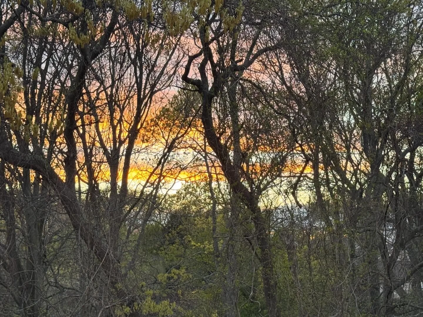 &ldquo;Clouds come floating into my life, no longer to carry rain or usher storm, but to add color to my sunset sky.&rdquo;

-Rabindranath Tagore