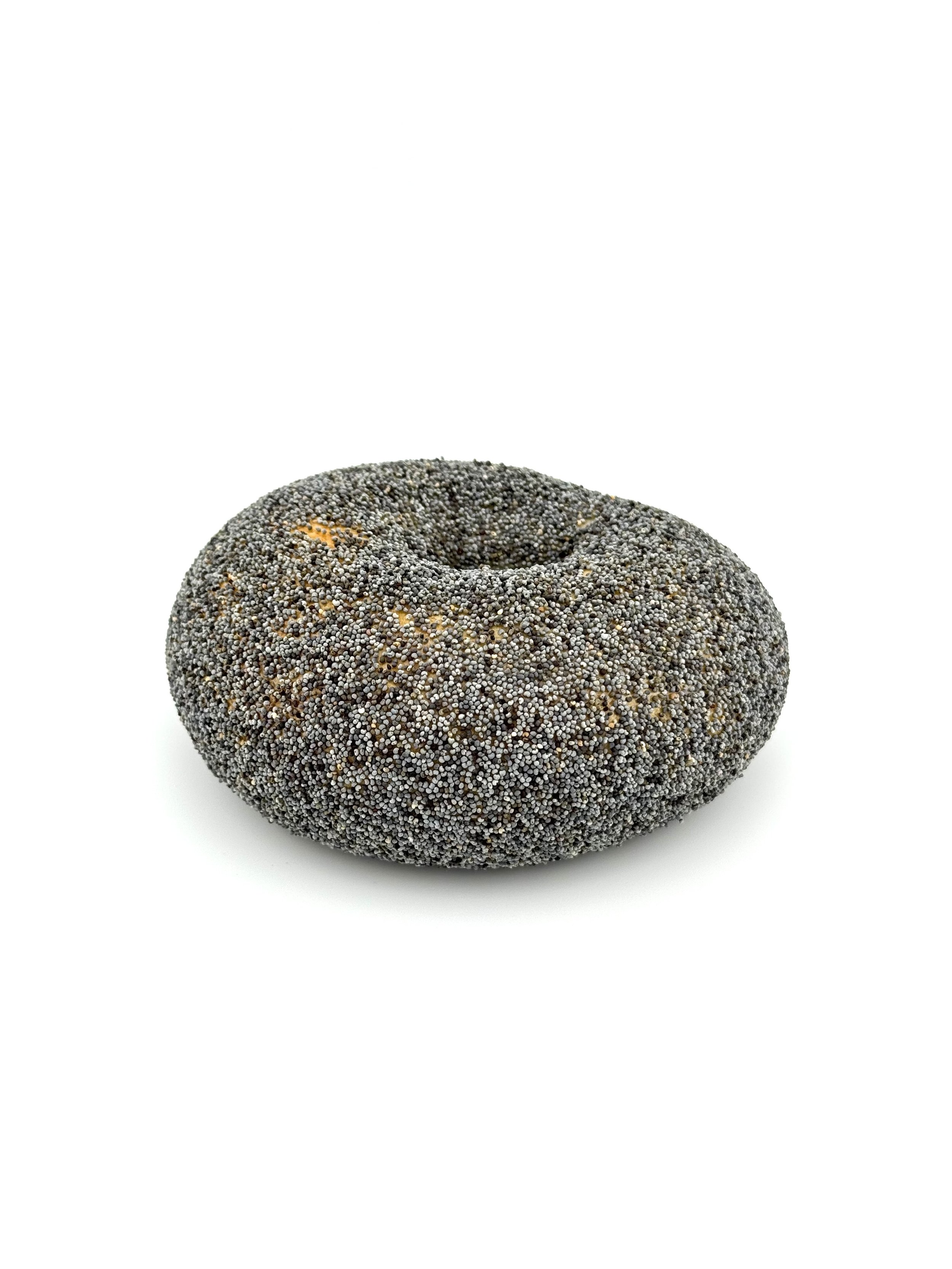 Poppy Seed Bagel