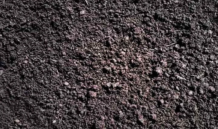 Aged Garden Compost Hawke's Bay