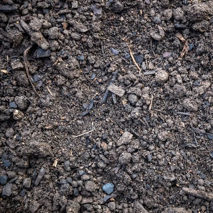 Vege Mix Hawke's Bay