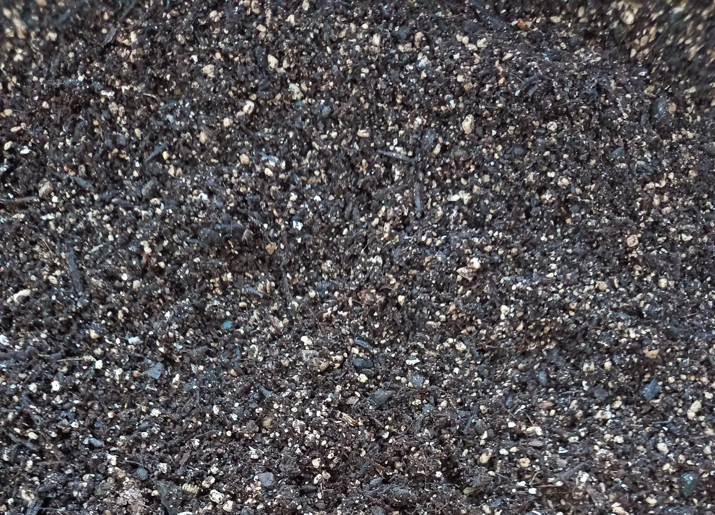 Potting Mix Hawke's Bay