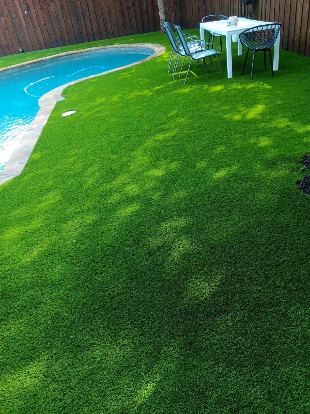 gallery-poolside-artificial-grass-dfw.jpg