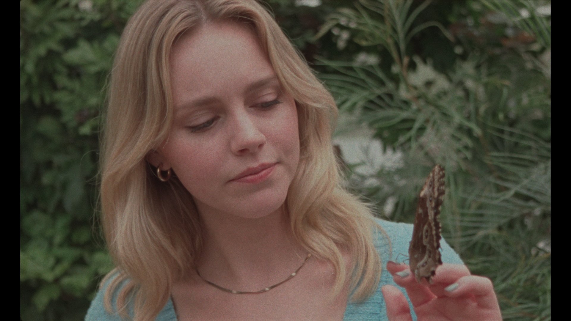 DCP Colored Stills_1.1.32.jpg