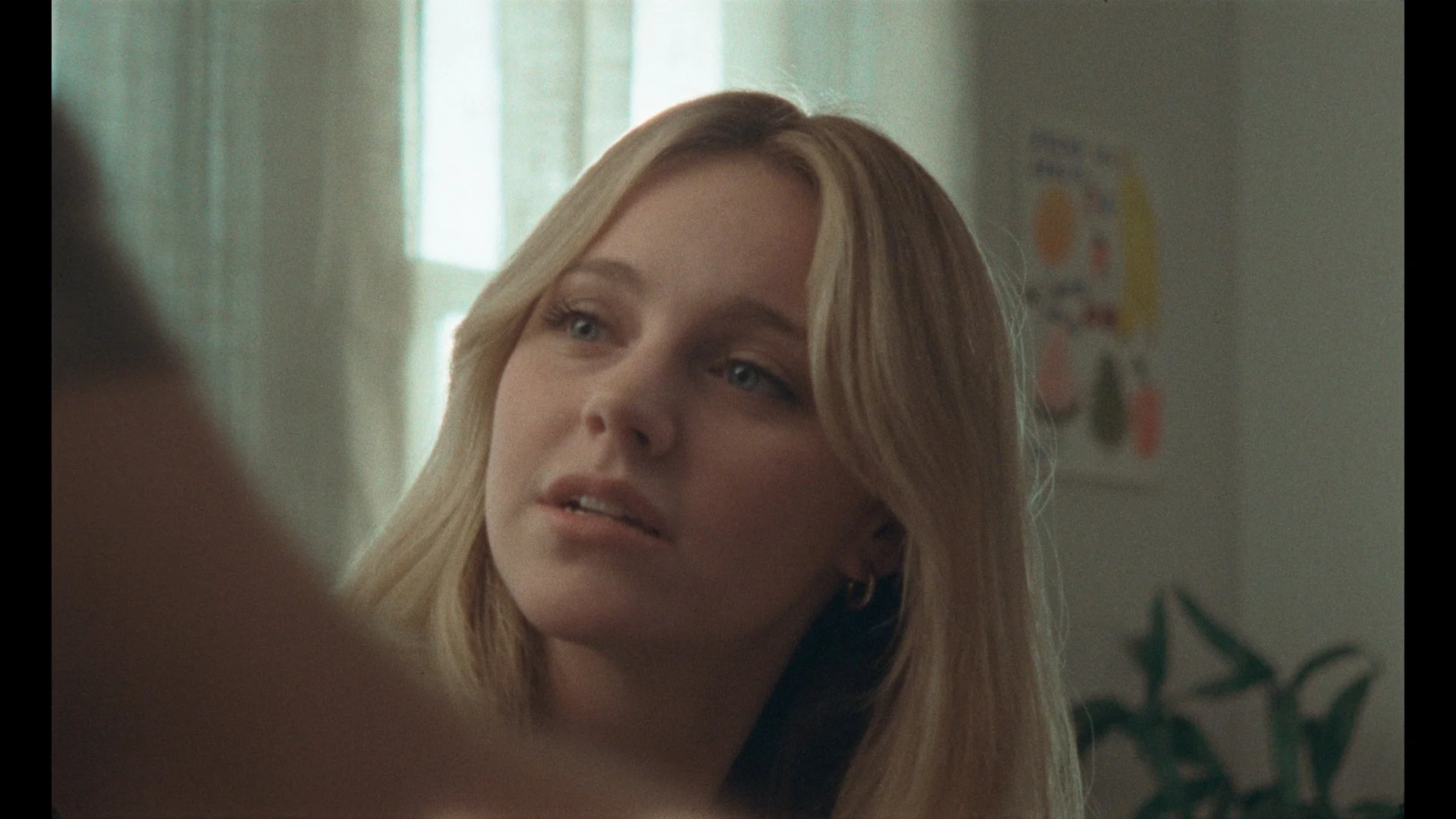 DCP Colored Stills_1.1.19.jpg