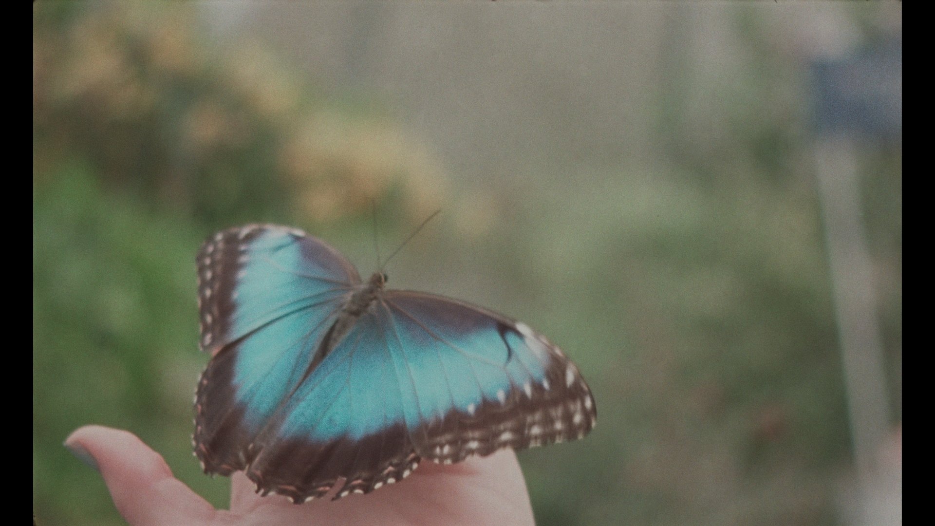 DCP Colored Stills_1.1.33.jpg