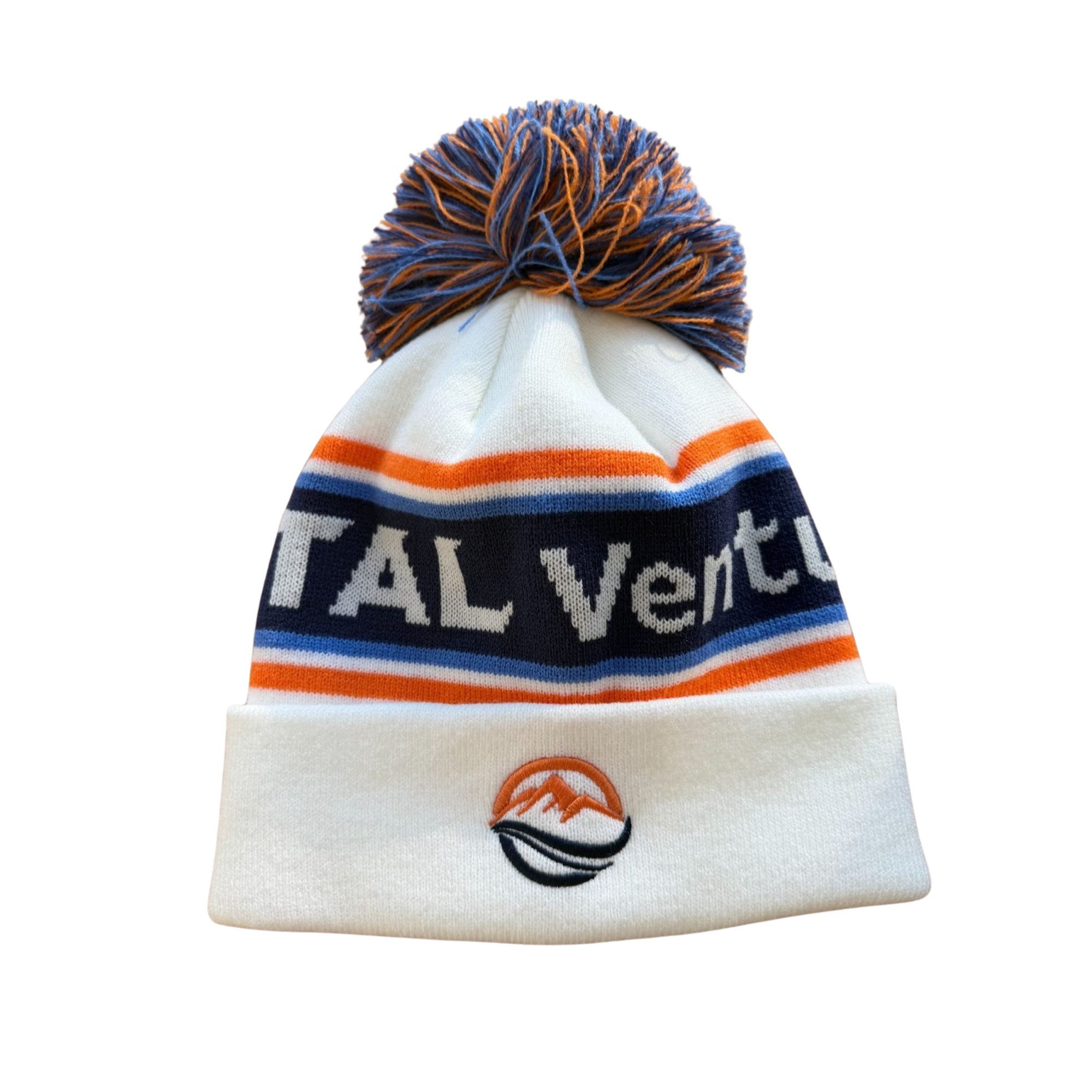 vital beanie (2).png