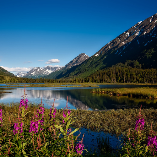 ALASKA ‘26 ADVENTURE // AUG 19-23