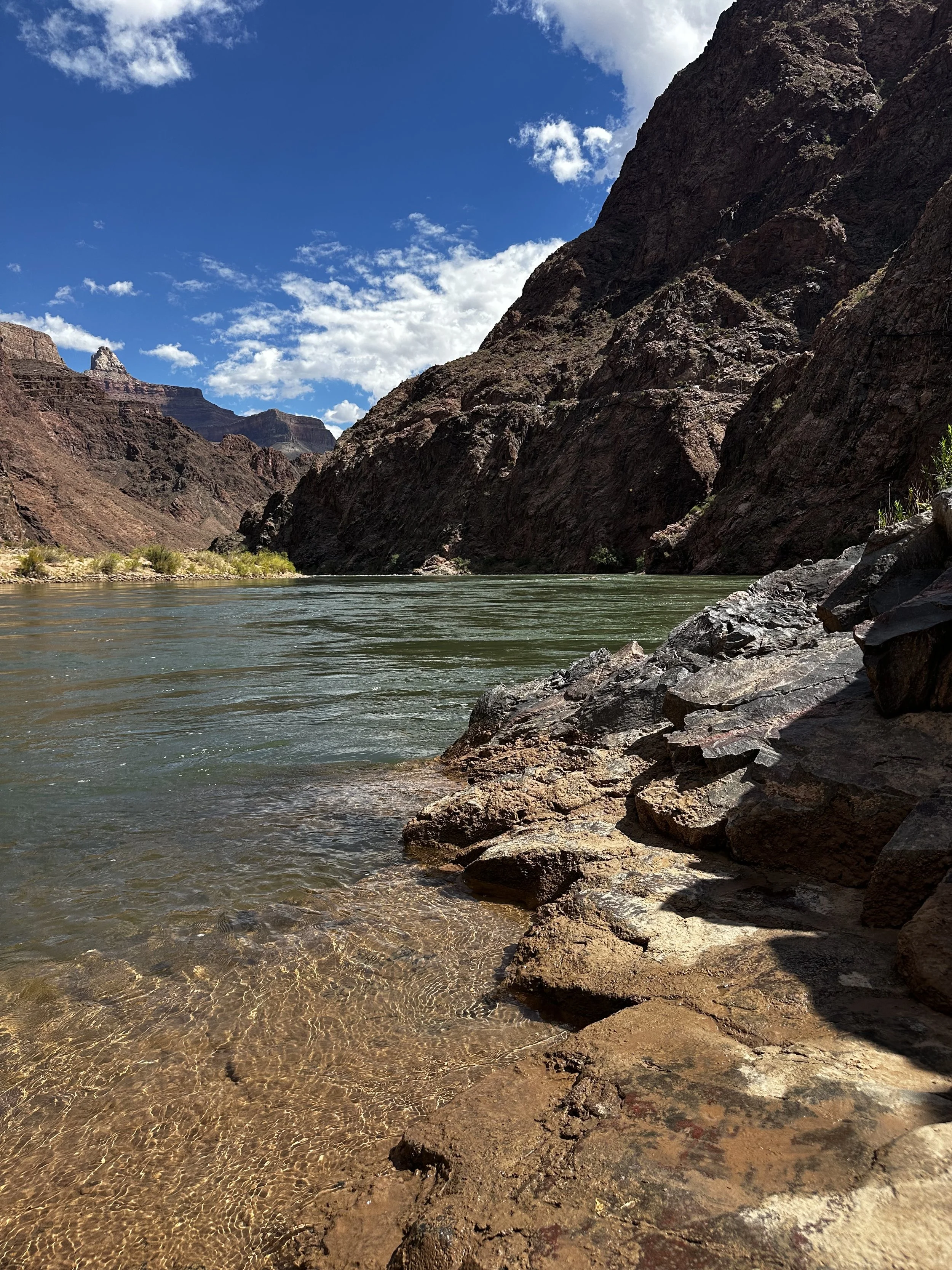 IMG_0081.jpeg