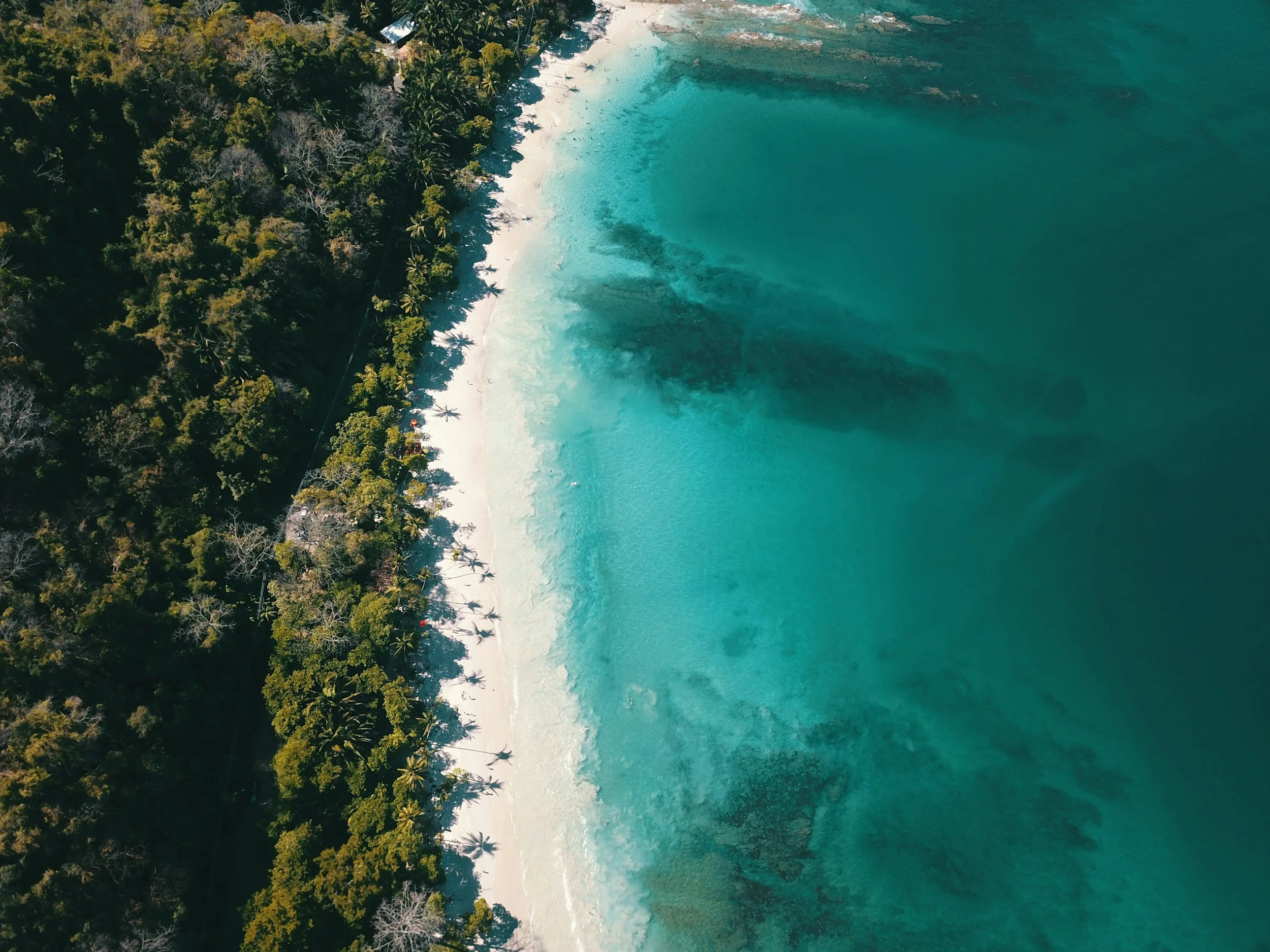 An aerial view of a tropical beach with white sand, turquoise water, and a dense green forest.