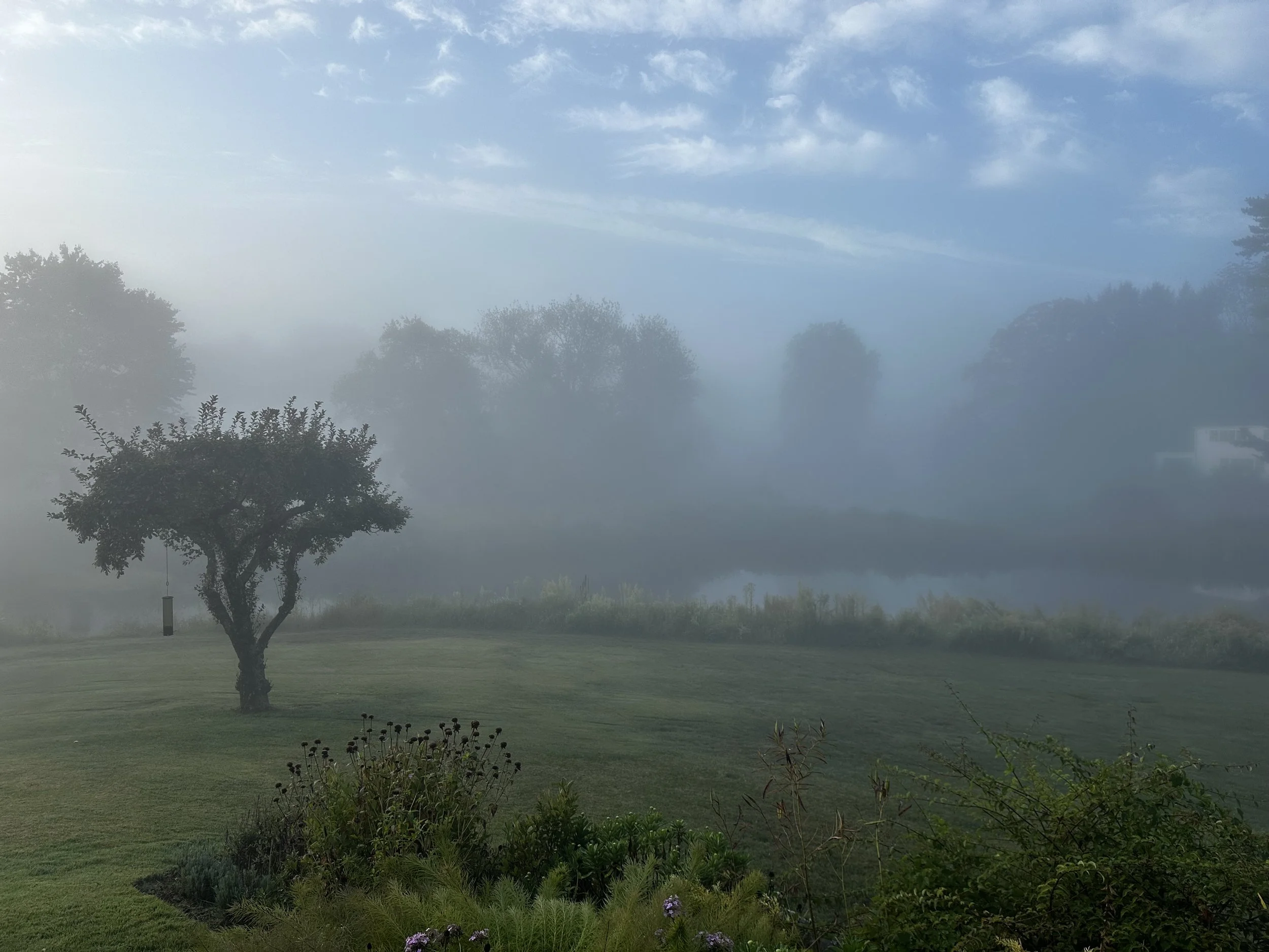 How Nature Resets Your Nervous System: 5 Science-Backed Ways to Reduce Stress Naturally