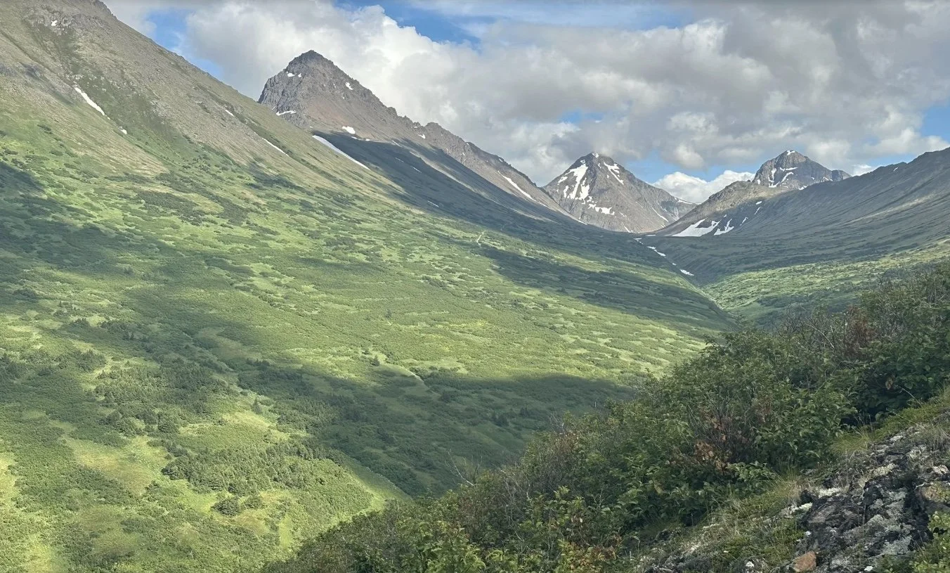 Image 11-6-25 at 12.01 PM.jpeg