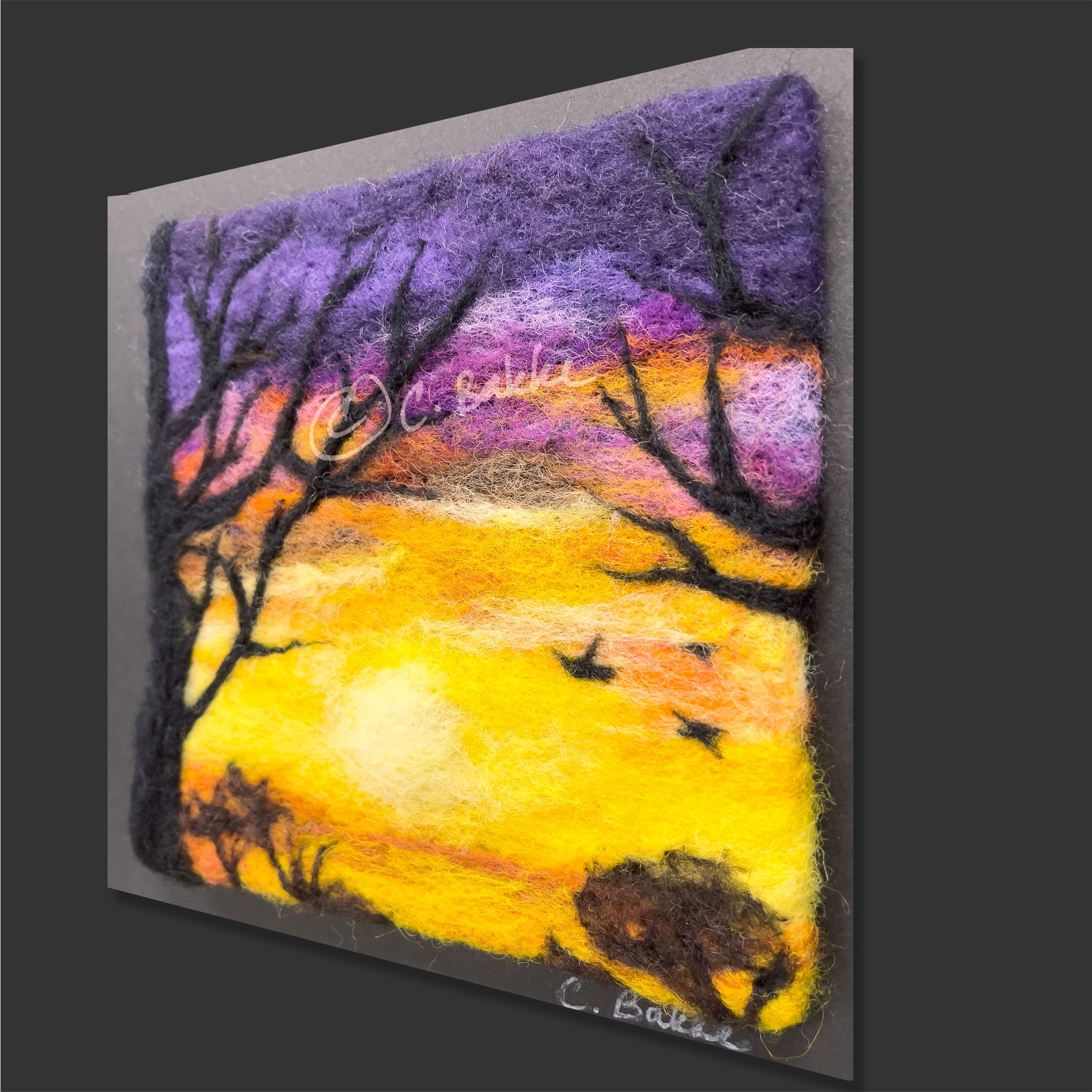 WinterSunset_Right_2500.jpg