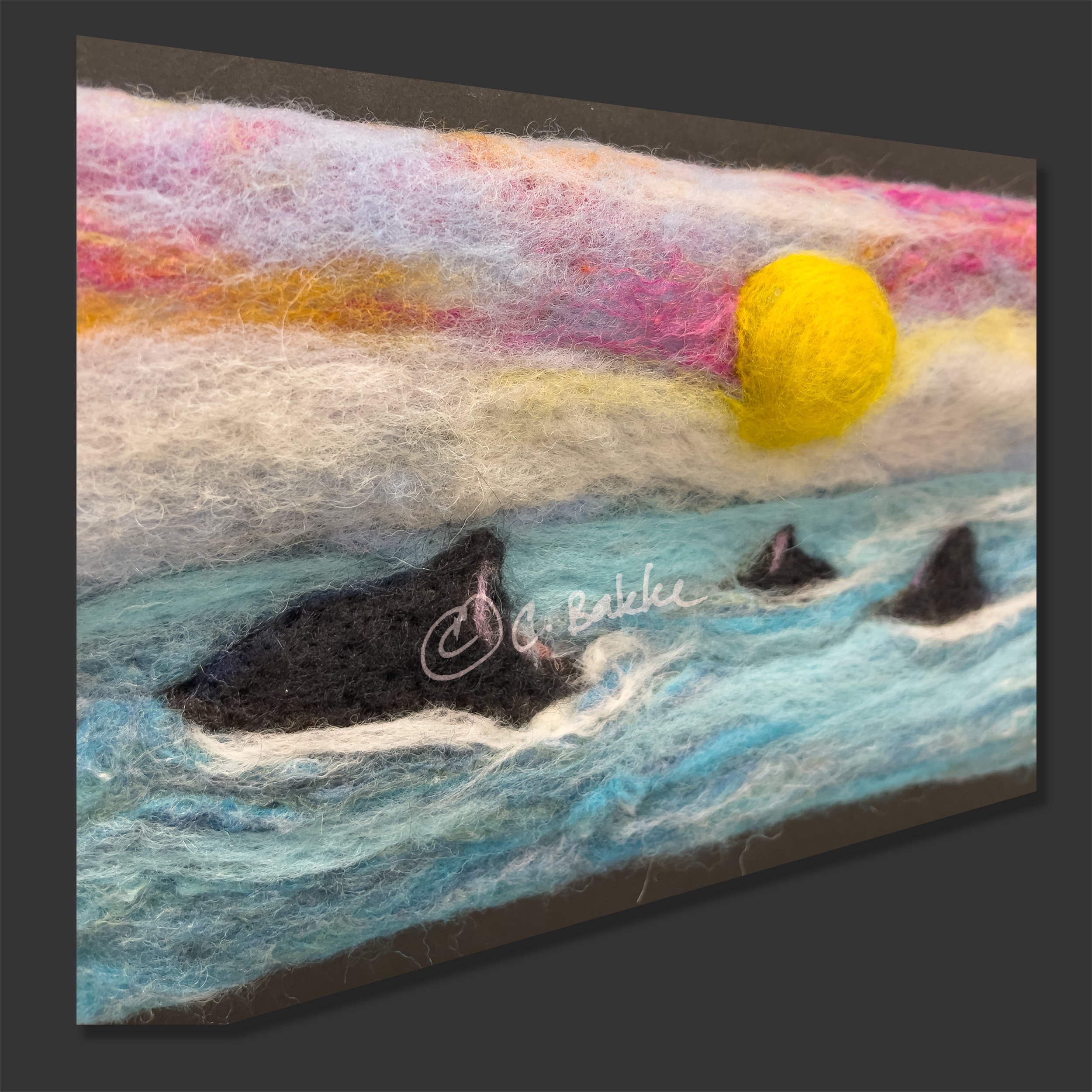 Orca_Left_2500.jpg