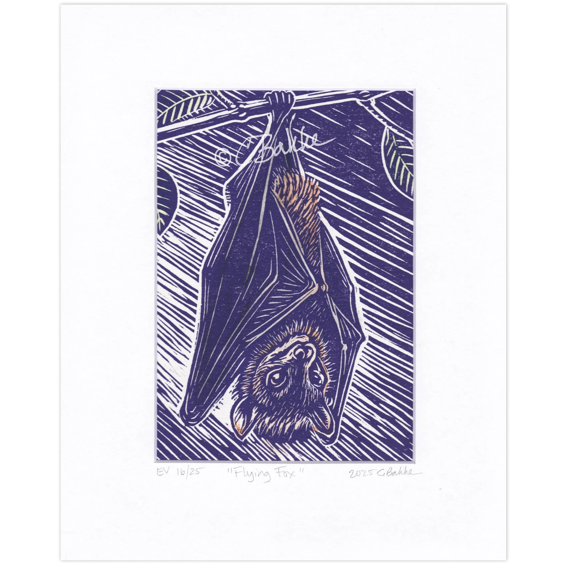 "Flying Fox" Print with Watercolor