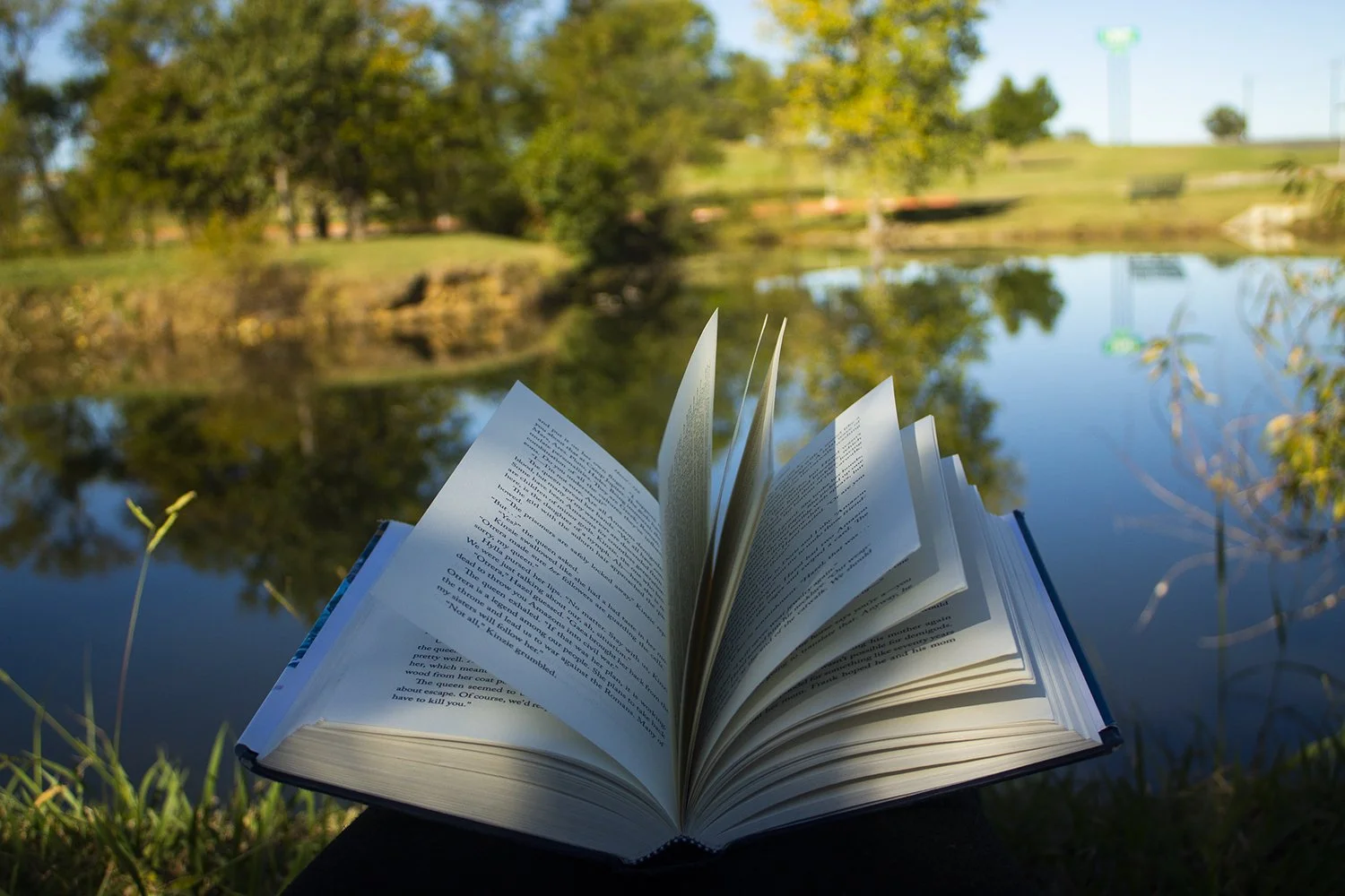 Open Book.jpg
