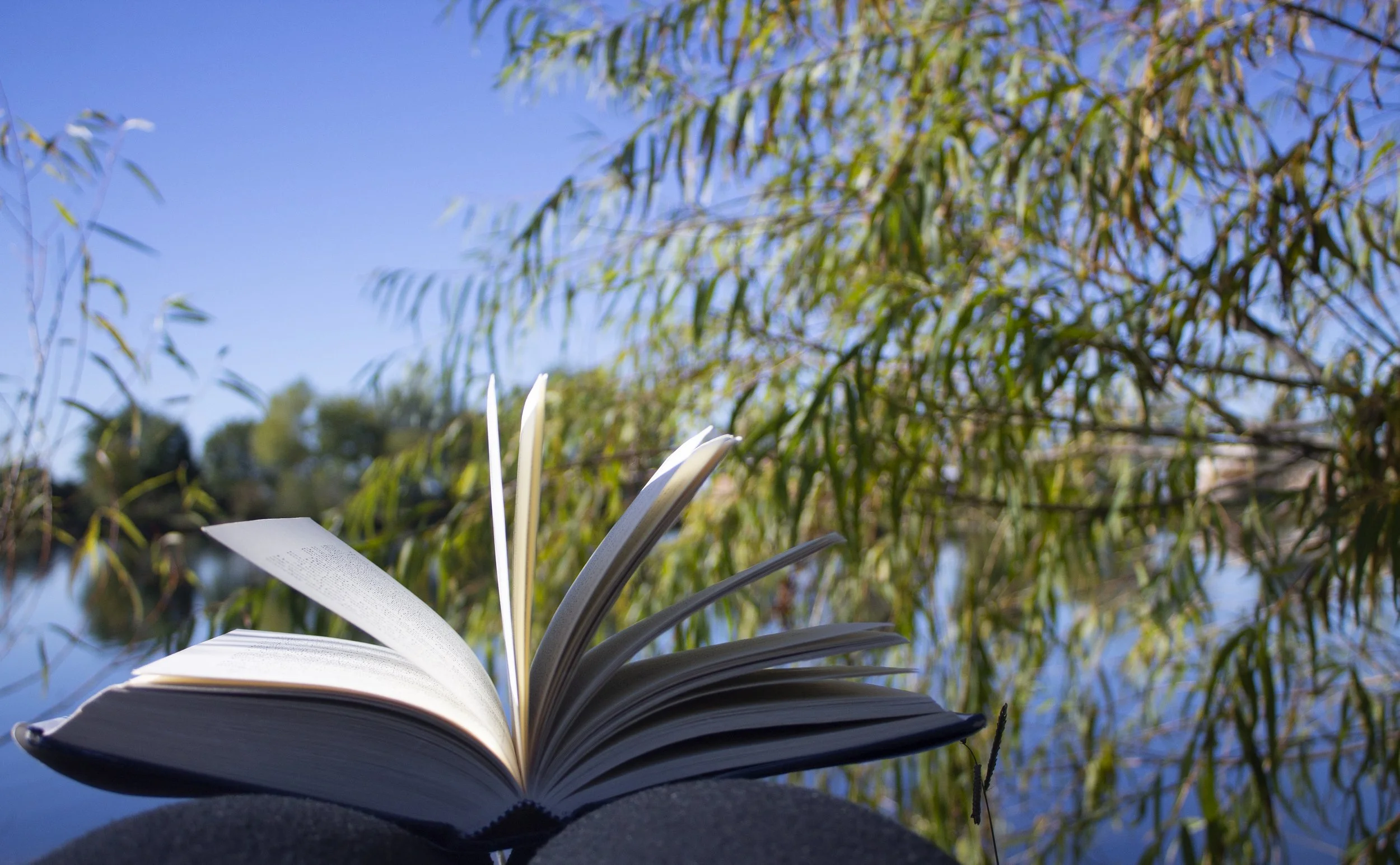 What paradise looks like.jpg