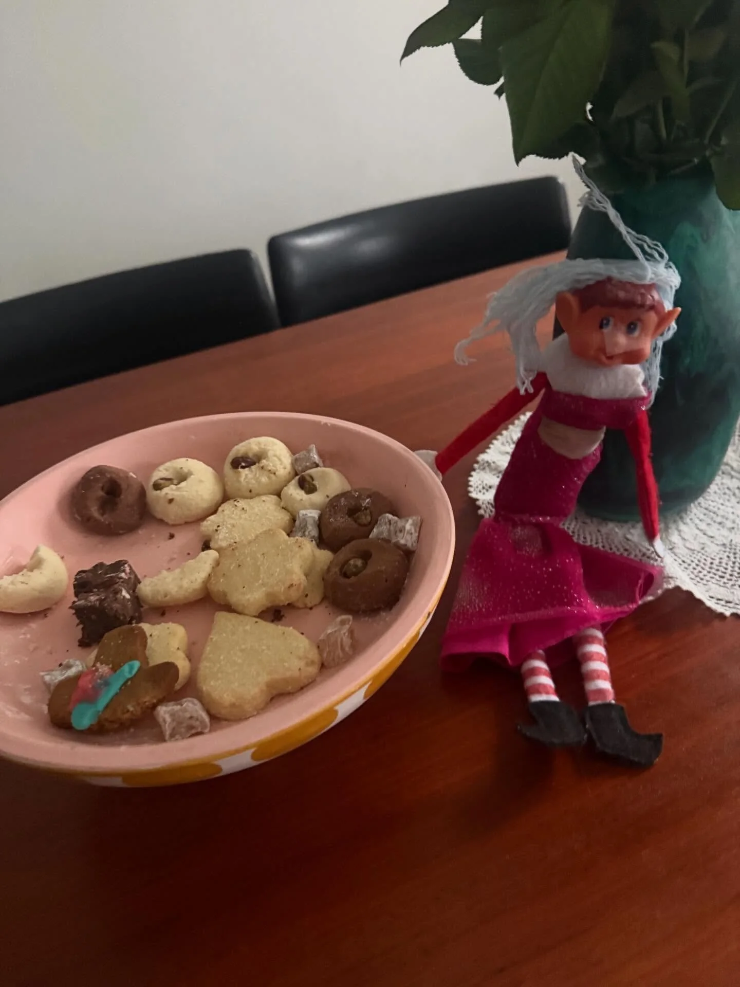 Merry Christmas 🎄 

From our family + a troublemaking Elf 🤶