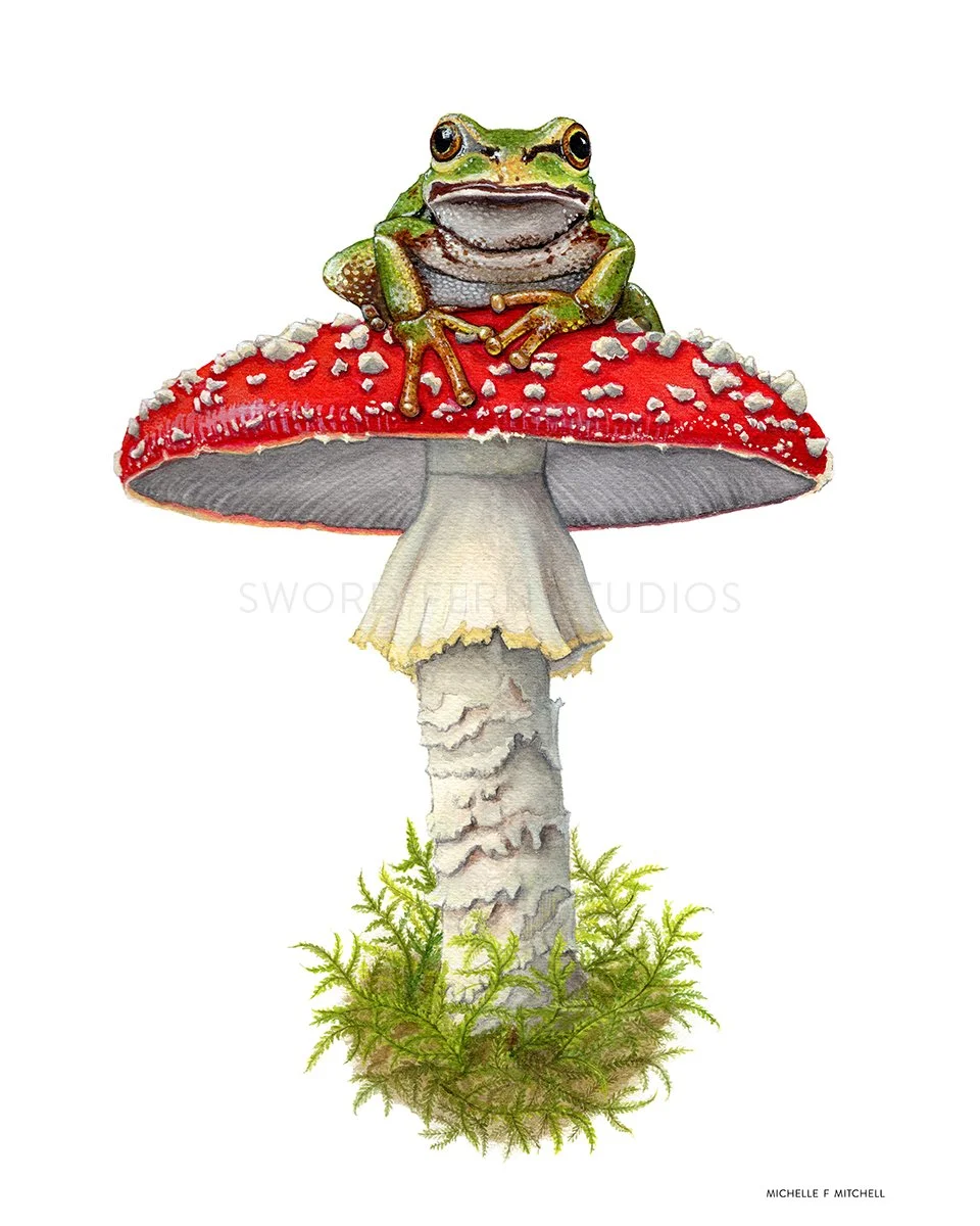 Amanita & Pacific Tree Frog