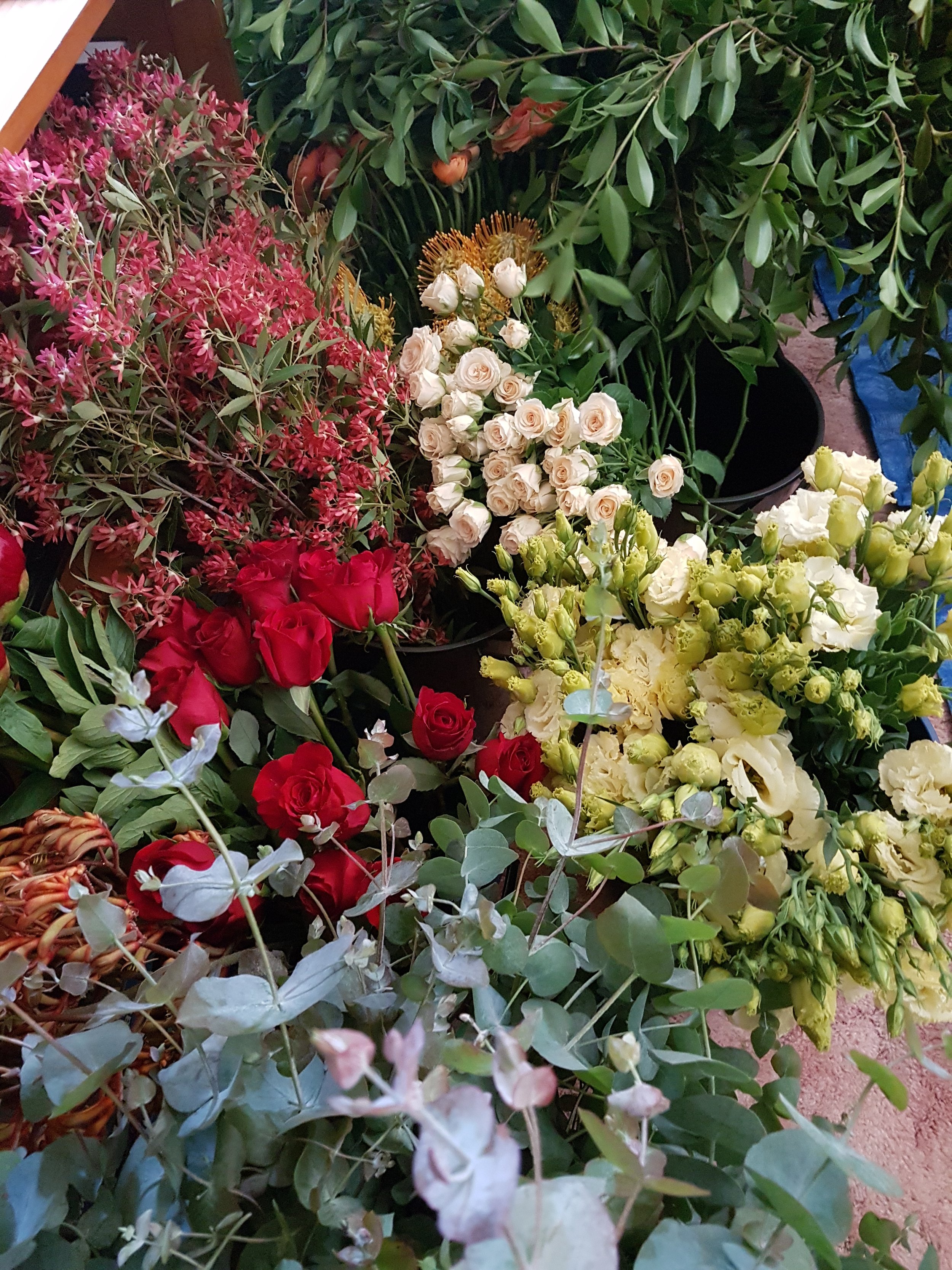 20191112_092737.jpg