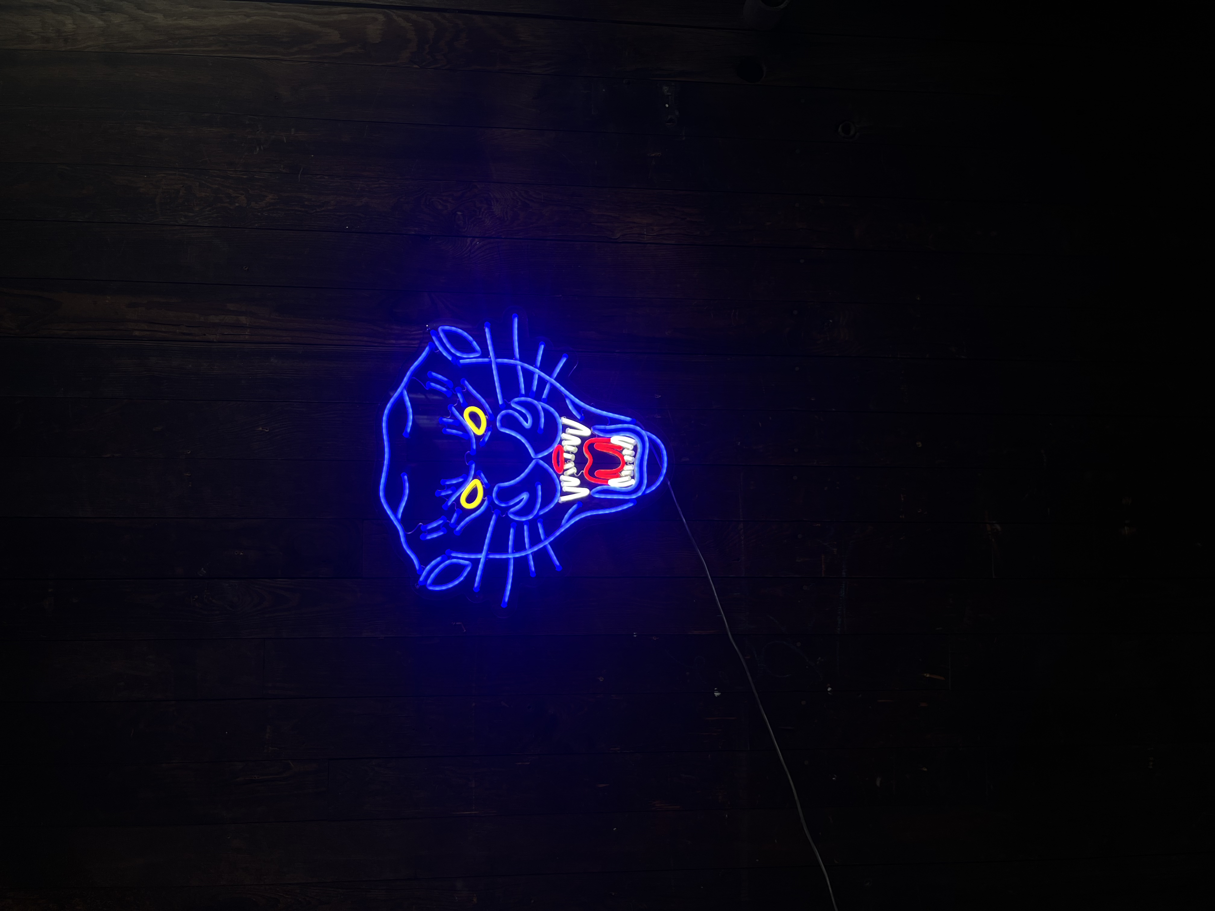 IMG_7329.png