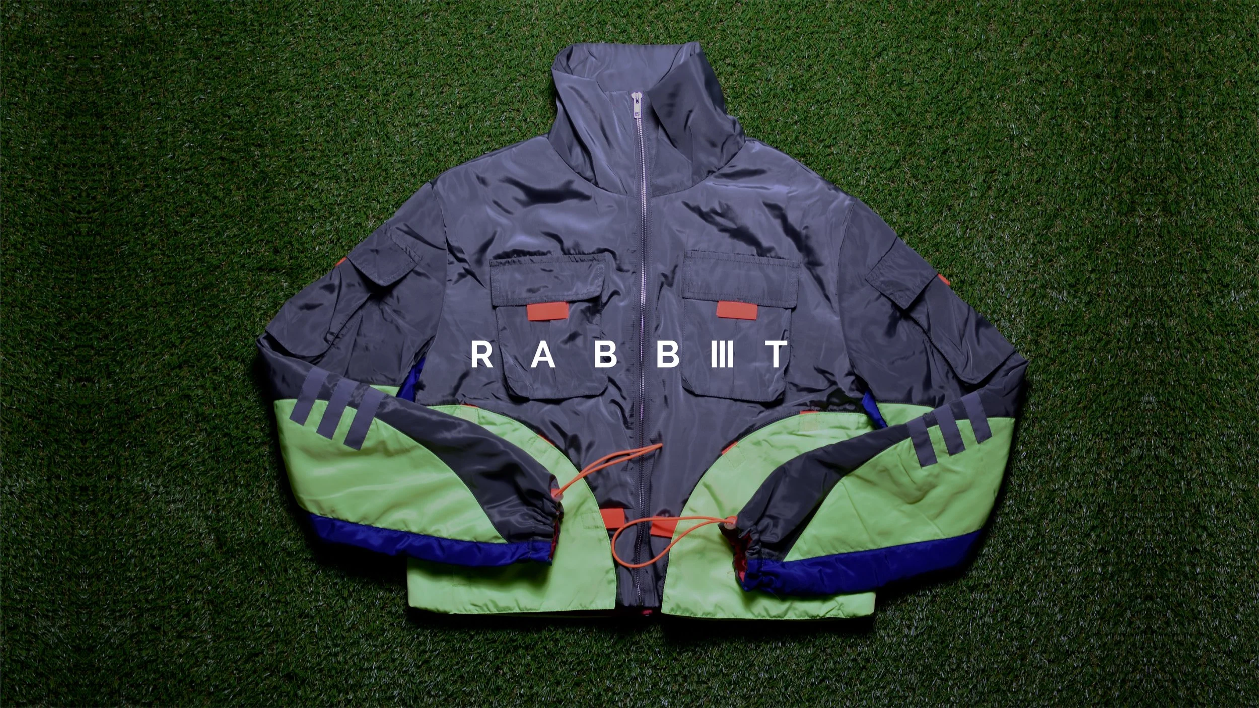 Rabbit 3