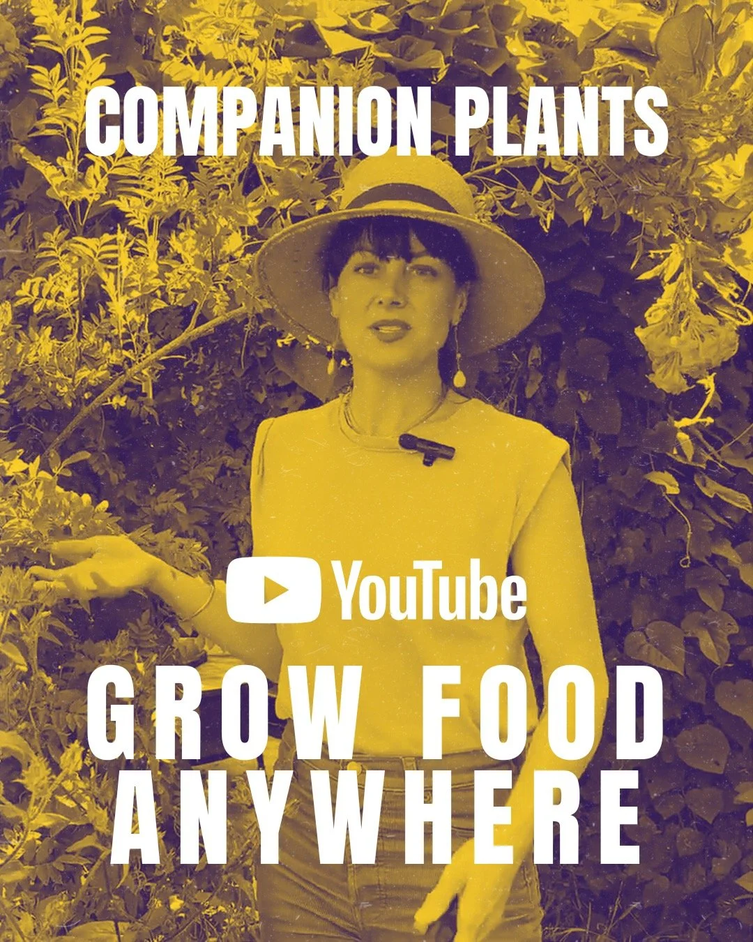 Watch Grow Food Anywhere &ndash; Ep 4: Companion Plants now on Youtube!

https://www.youtube.com/watch?v=EK3cDhnkyjo

Some plants just work better together. Pair the right crops and you can boost growth, repel pests, and improve flavor naturally.

Pl