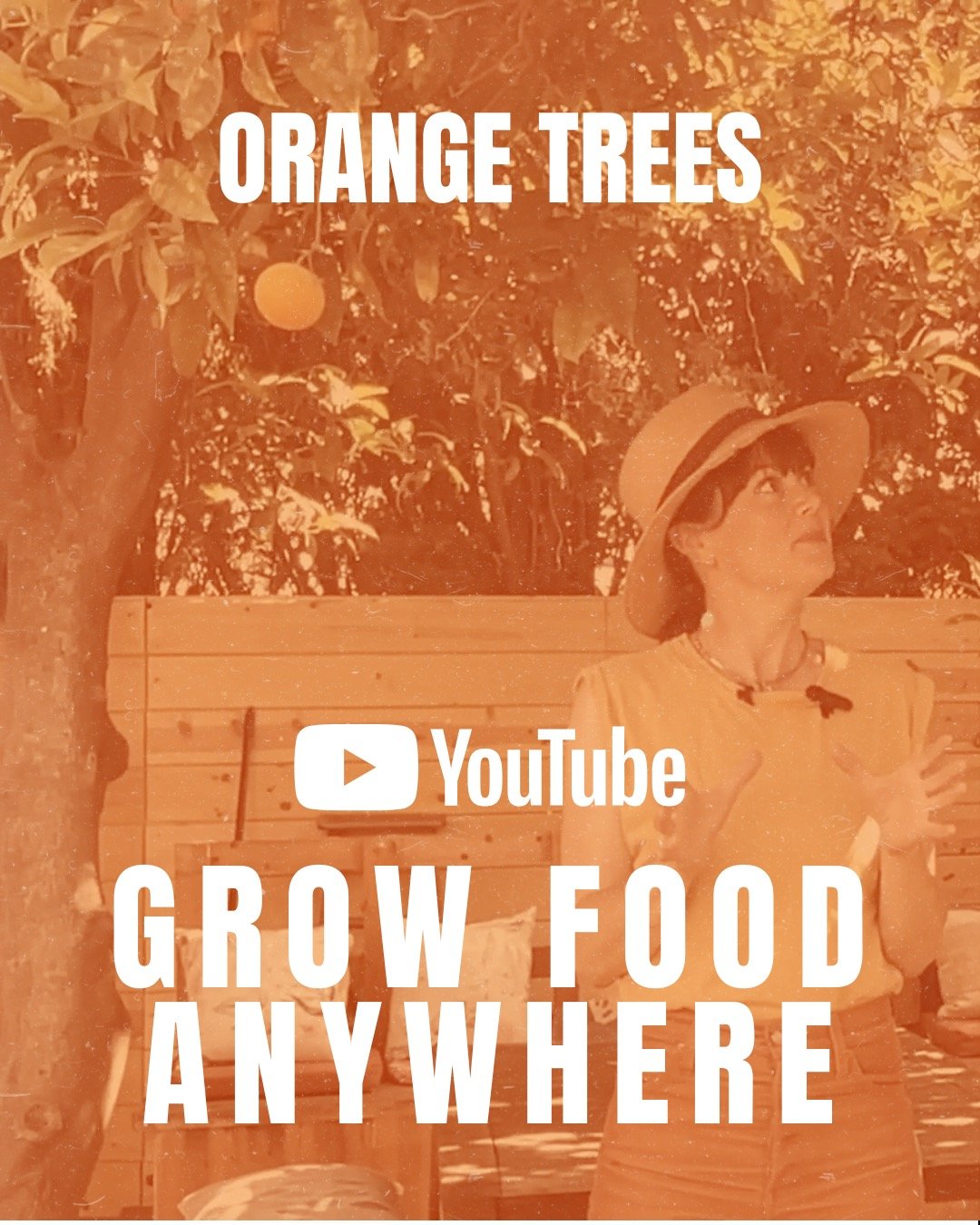 Grow Food Anywhere &ndash; Ep 6: Orange Trees

Yes, you can grow citrus &mdash; even in small spaces.
Pots, patios, front yards&hellip; sun + care = fresh oranges at your door.

https://youtu.be/0QUswYbuVko?si=j9gsn7SLgrXY0CCB

Sweet, simple, homegro