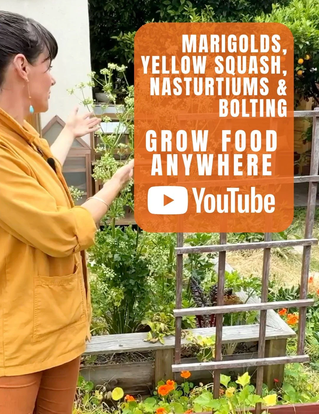 Ep 9 MARIGOLDS, YELLOW SQUASH, NASTURTIUMS &amp; BOLTING from GROW FOOD ANYWHERE is up, please watch, subscribe and&nbsp;sharehttps://www.youtube.com/watch?v=S8JI9PwwaEg&nbsp;&nbsp;Grateful for your subscription!!!

@pollygeez @thekimberlybustamante 