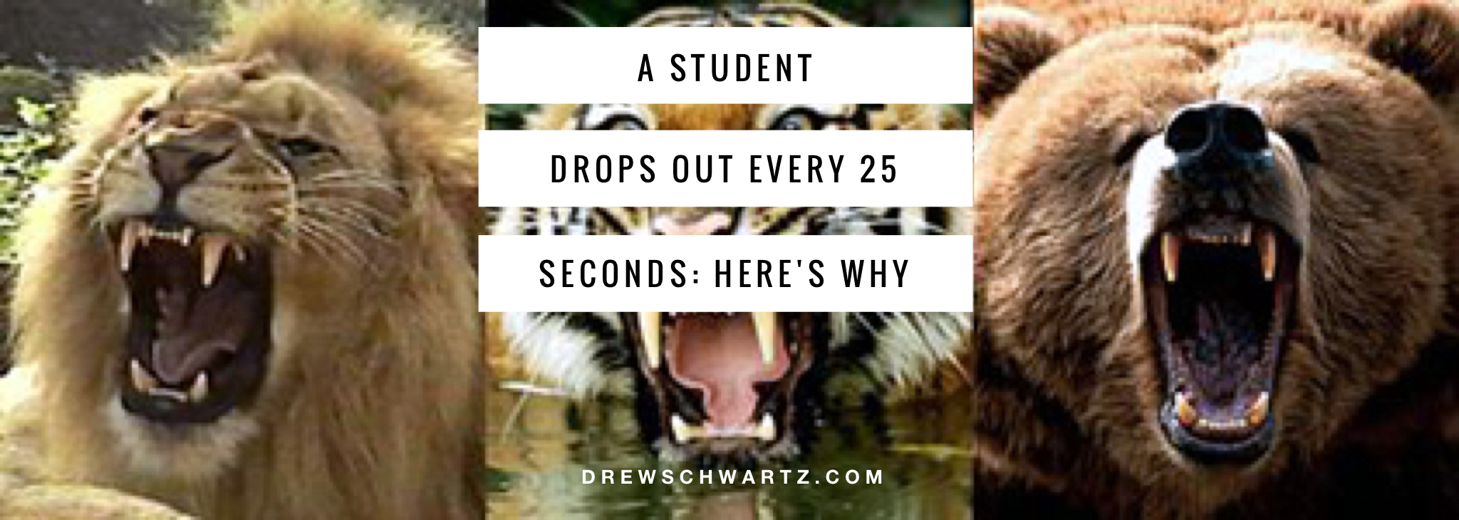                                    A Student Drops Out Every 25 Seconds: Here's a Main Reason WHY