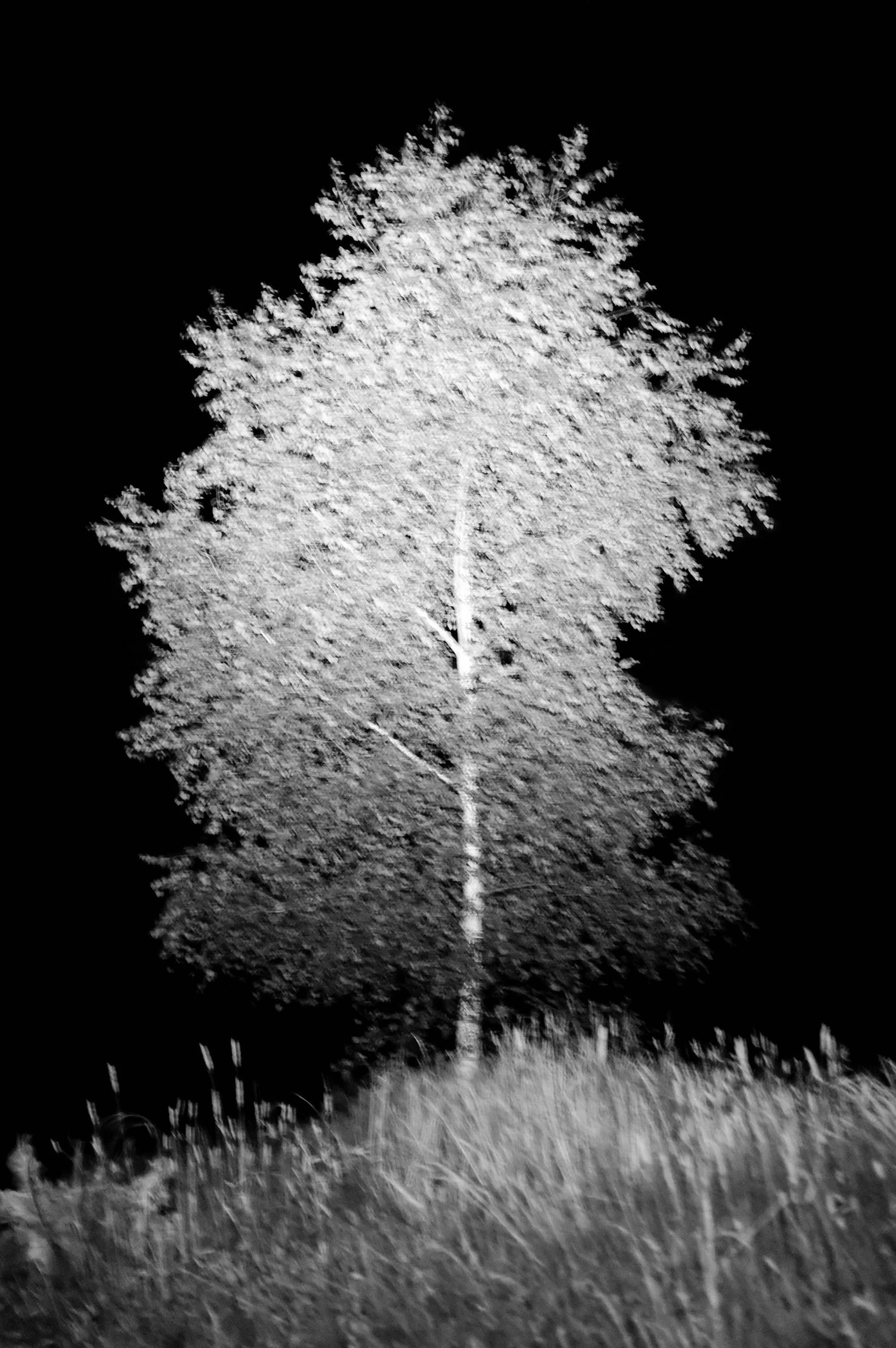 FOR JORIS 2023 (20 x 25).jpg