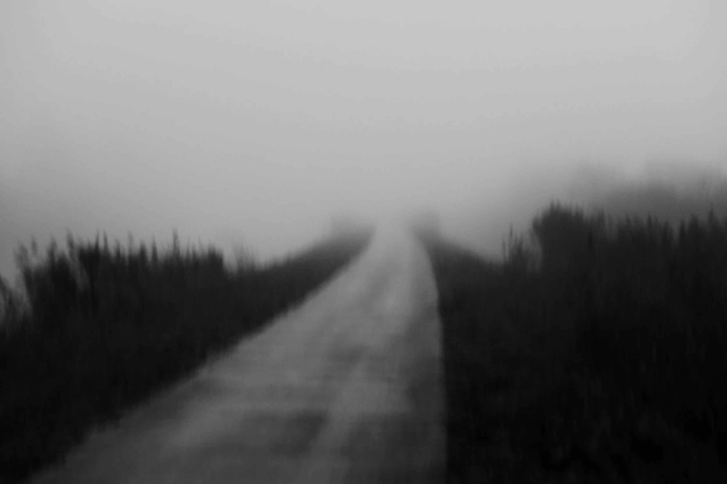 Photographic diary (December) 